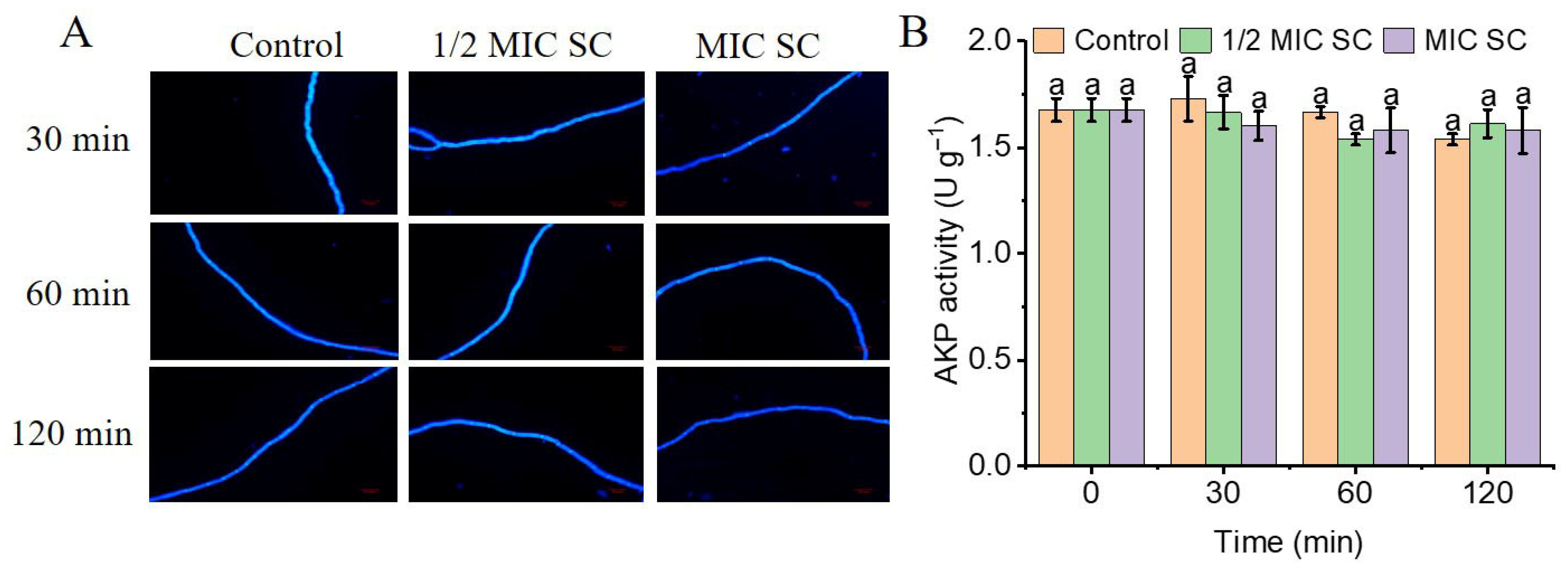 Jof 11 00612 g003 Jof 11 00612 g003
