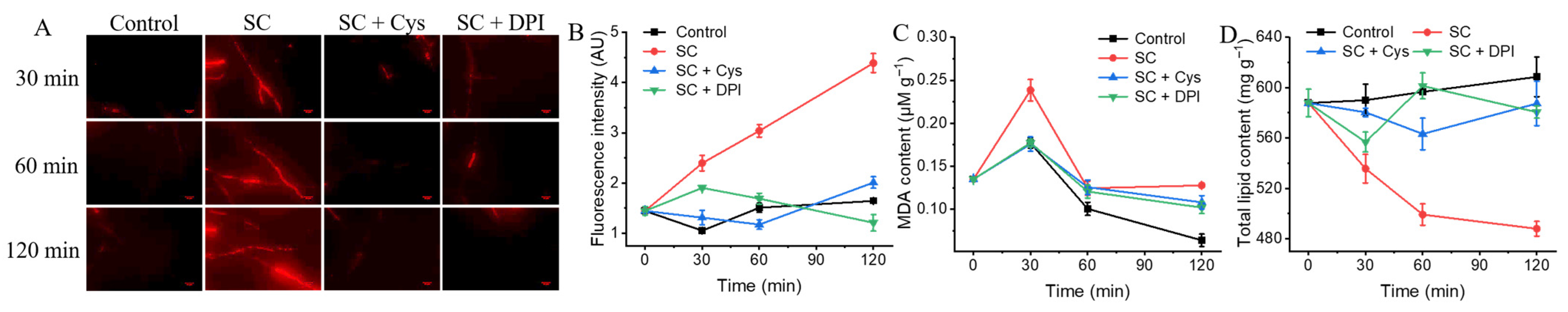 Jof 11 00612 g008 Jof 11 00612 g008