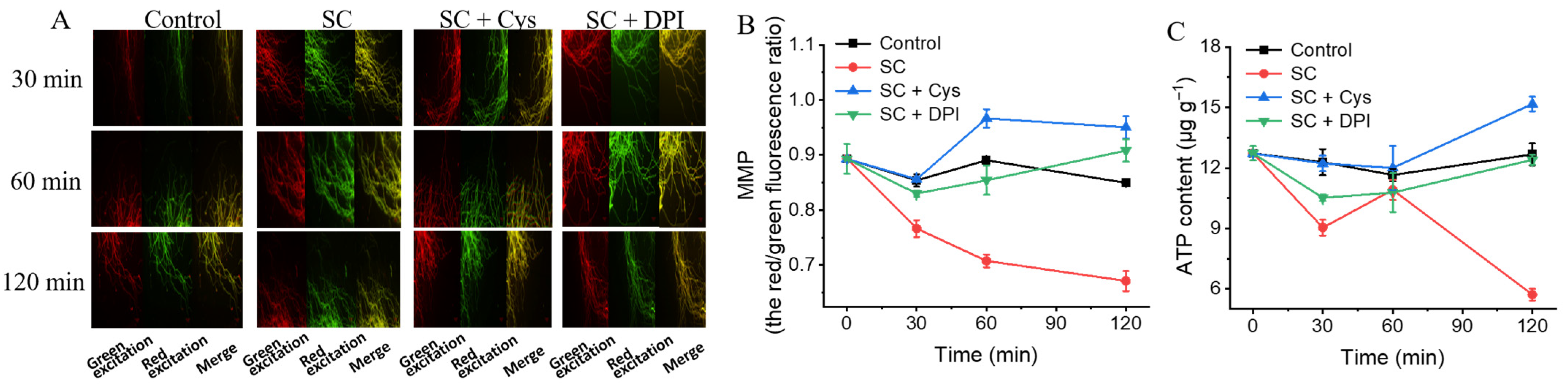 Jof 11 00612 g009 Jof 11 00612 g009