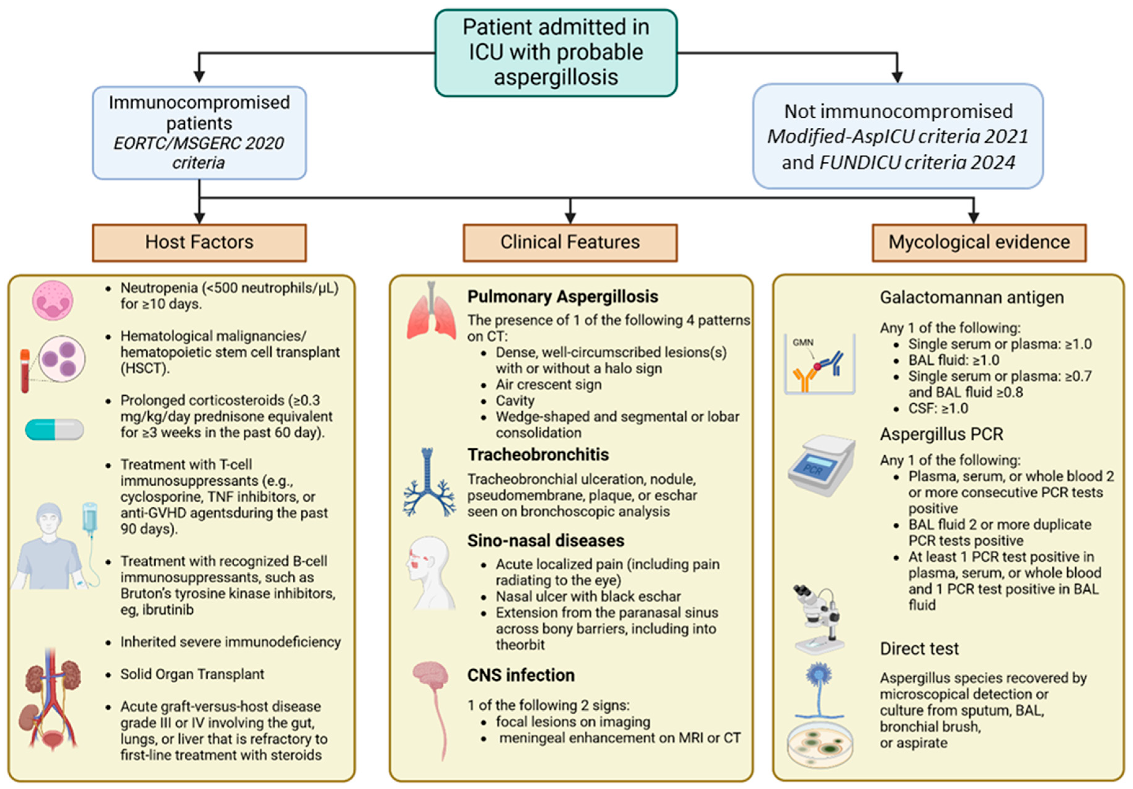 Jof 11 00617 g002 Jof 11 00617 g002
