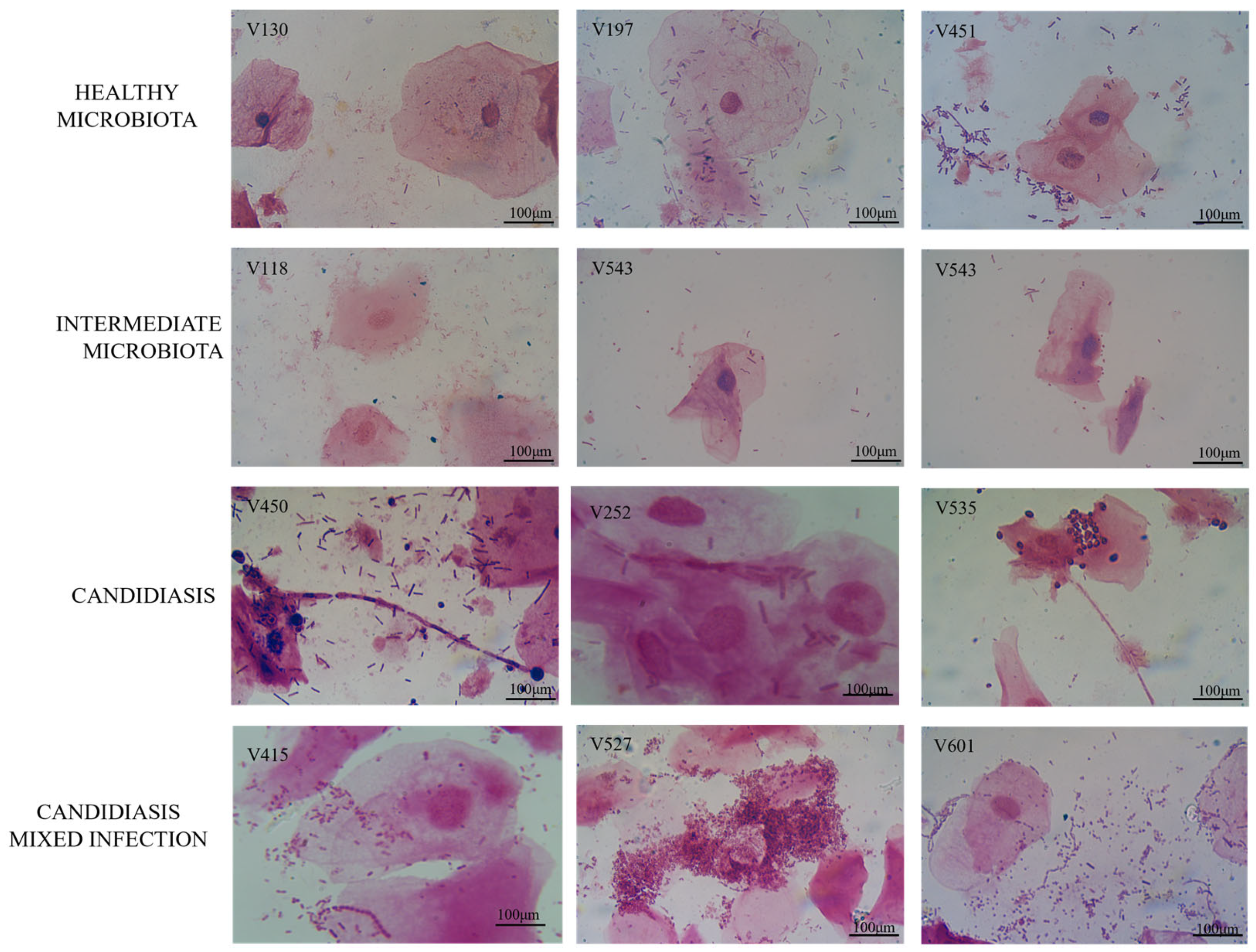 Jof 11 00620 g001 Jof 11 00620 g001