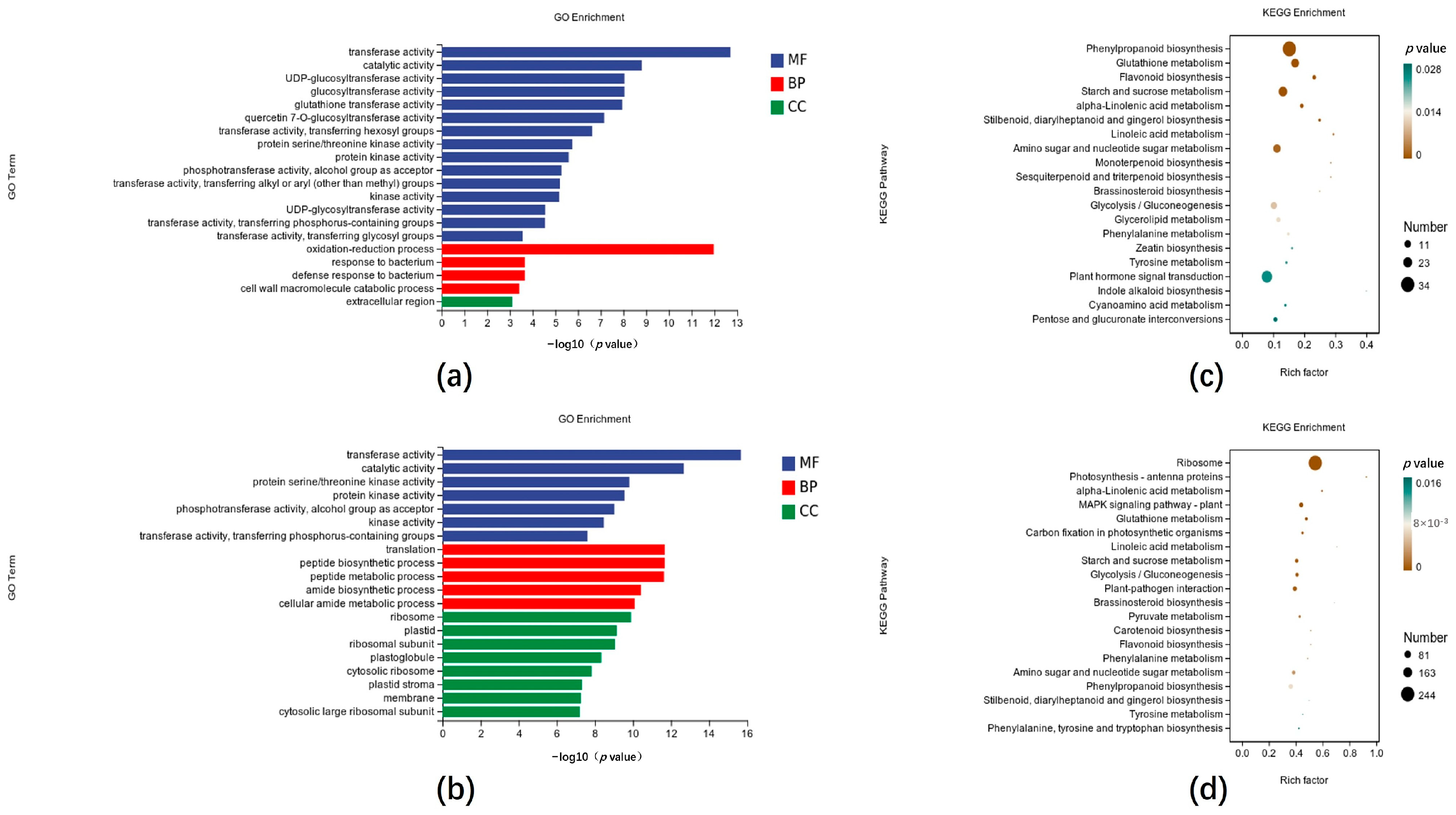 Jof 11 00627 g002 Jof 11 00627 g002