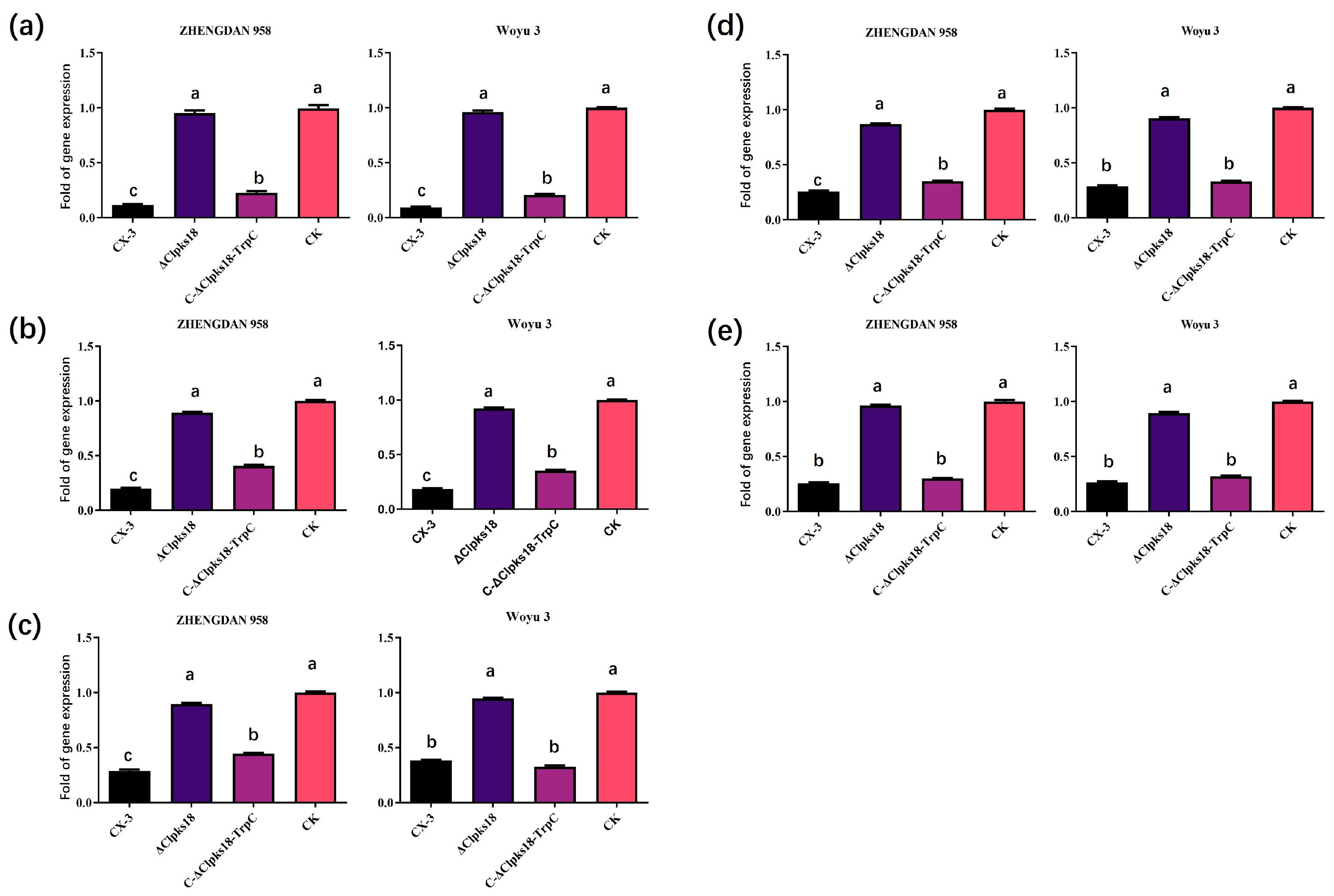Jof 11 00627 g003 Jof 11 00627 g003