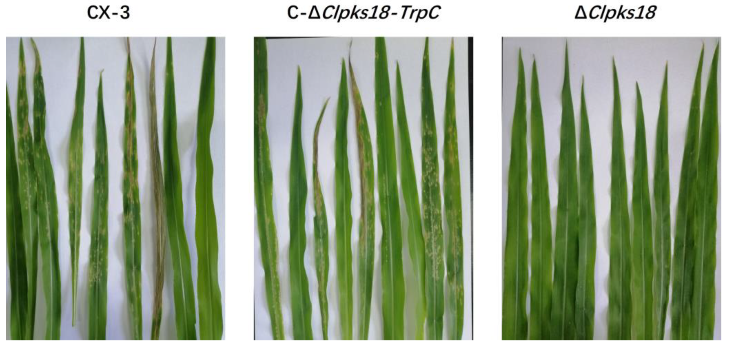 Jof 11 00627 g0a2 Jof 11 00627 g0a2