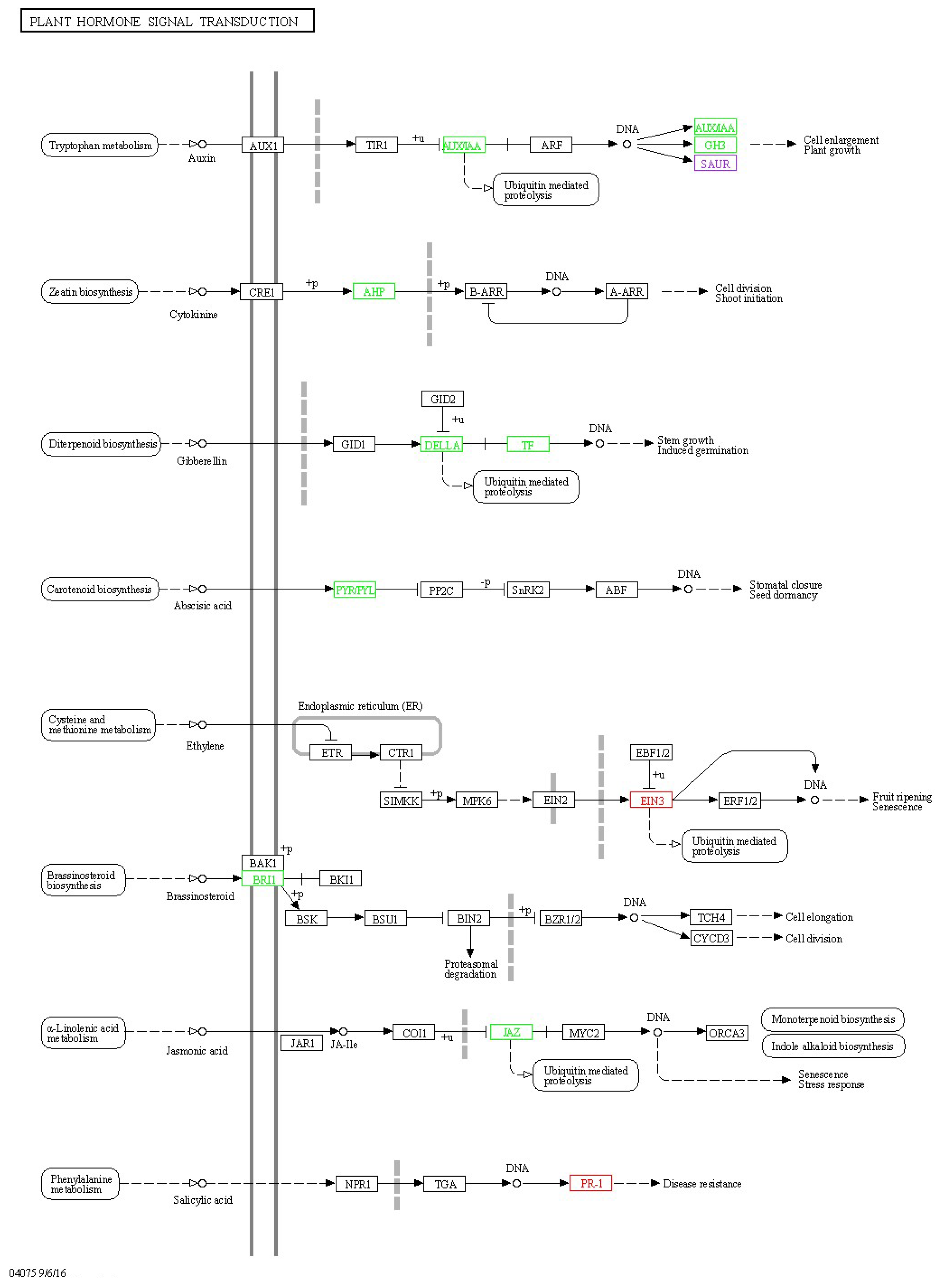 Jof 11 00627 g0a4 Jof 11 00627 g0a4