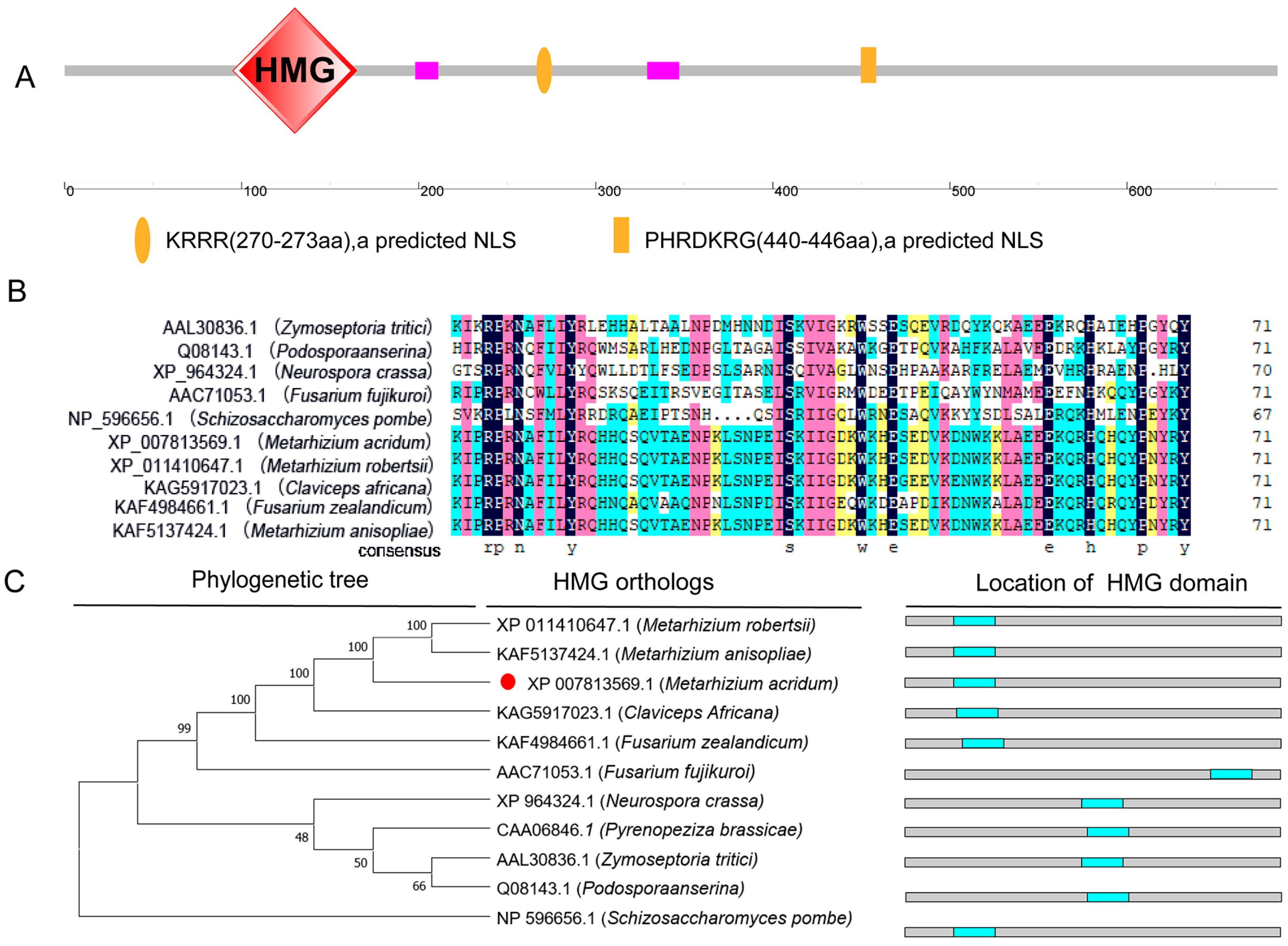 Jof 11 00628 g001 Jof 11 00628 g001