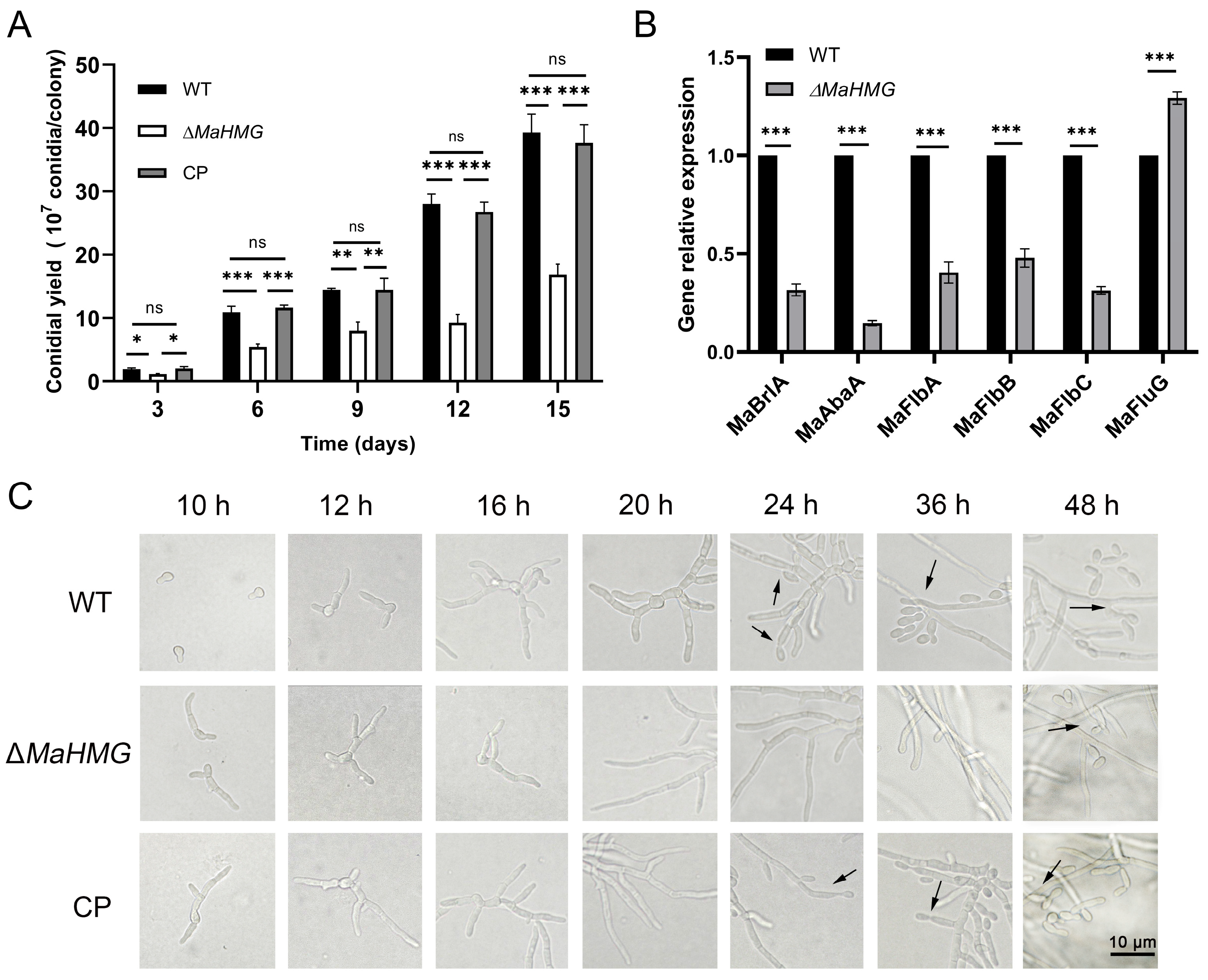 Jof 11 00628 g003 Jof 11 00628 g003