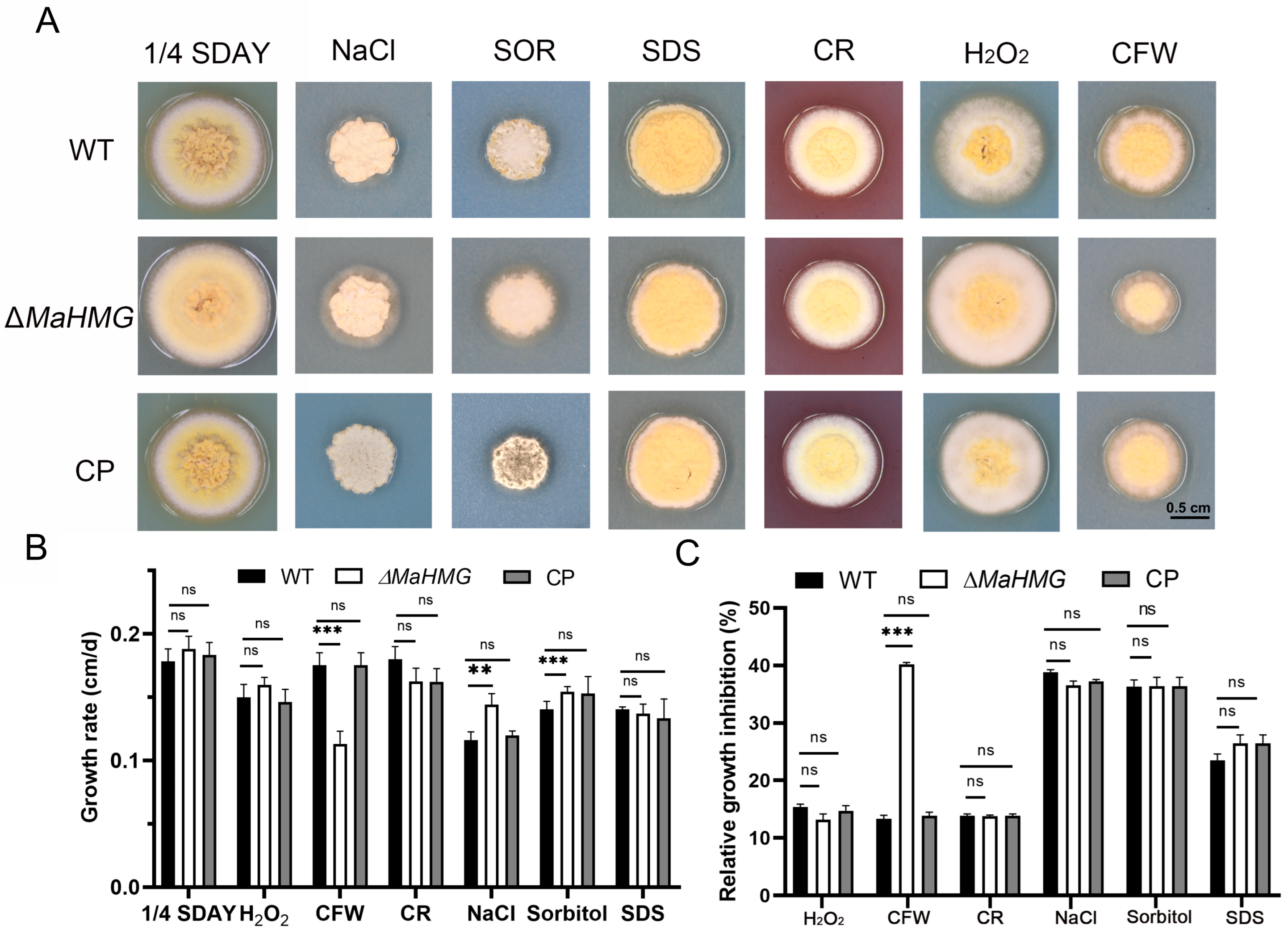 Jof 11 00628 g006 Jof 11 00628 g006