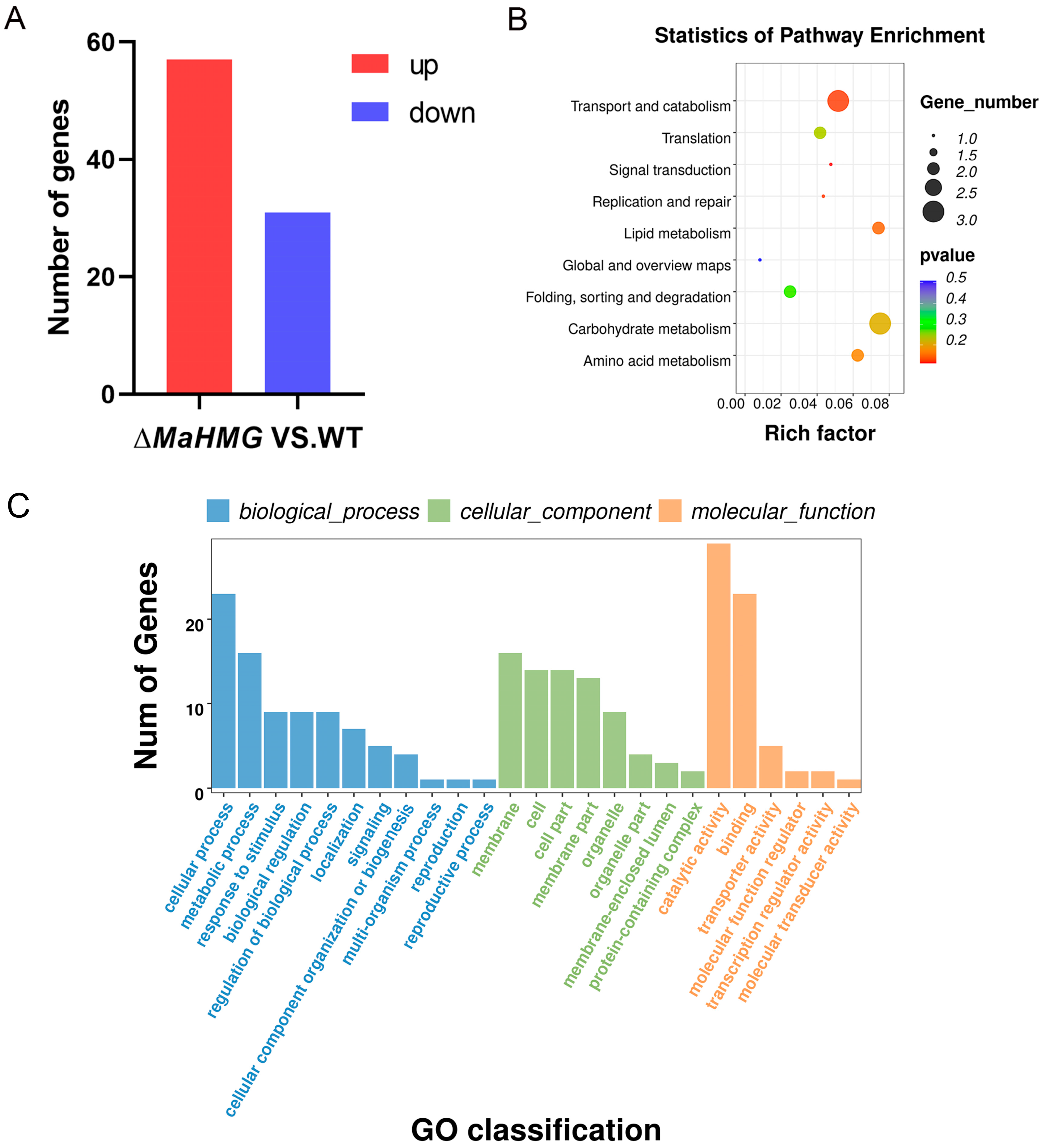 Jof 11 00628 g007 Jof 11 00628 g007
