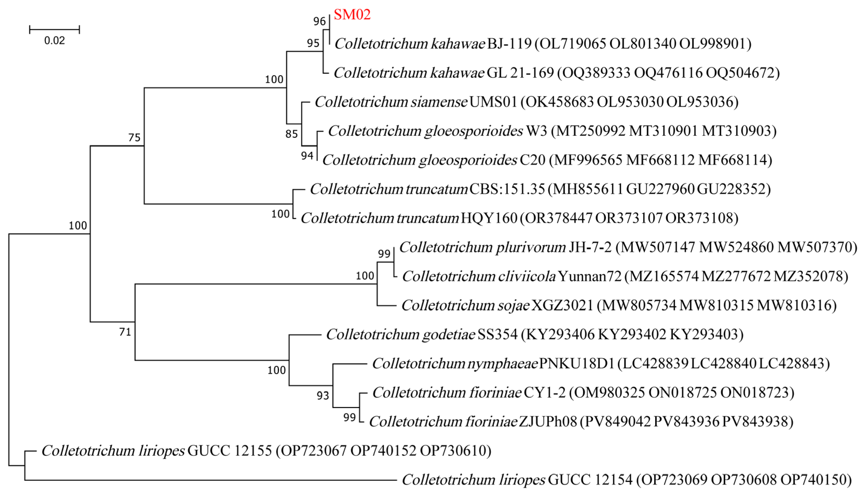 Jof 11 00633 g003 Jof 11 00633 g003
