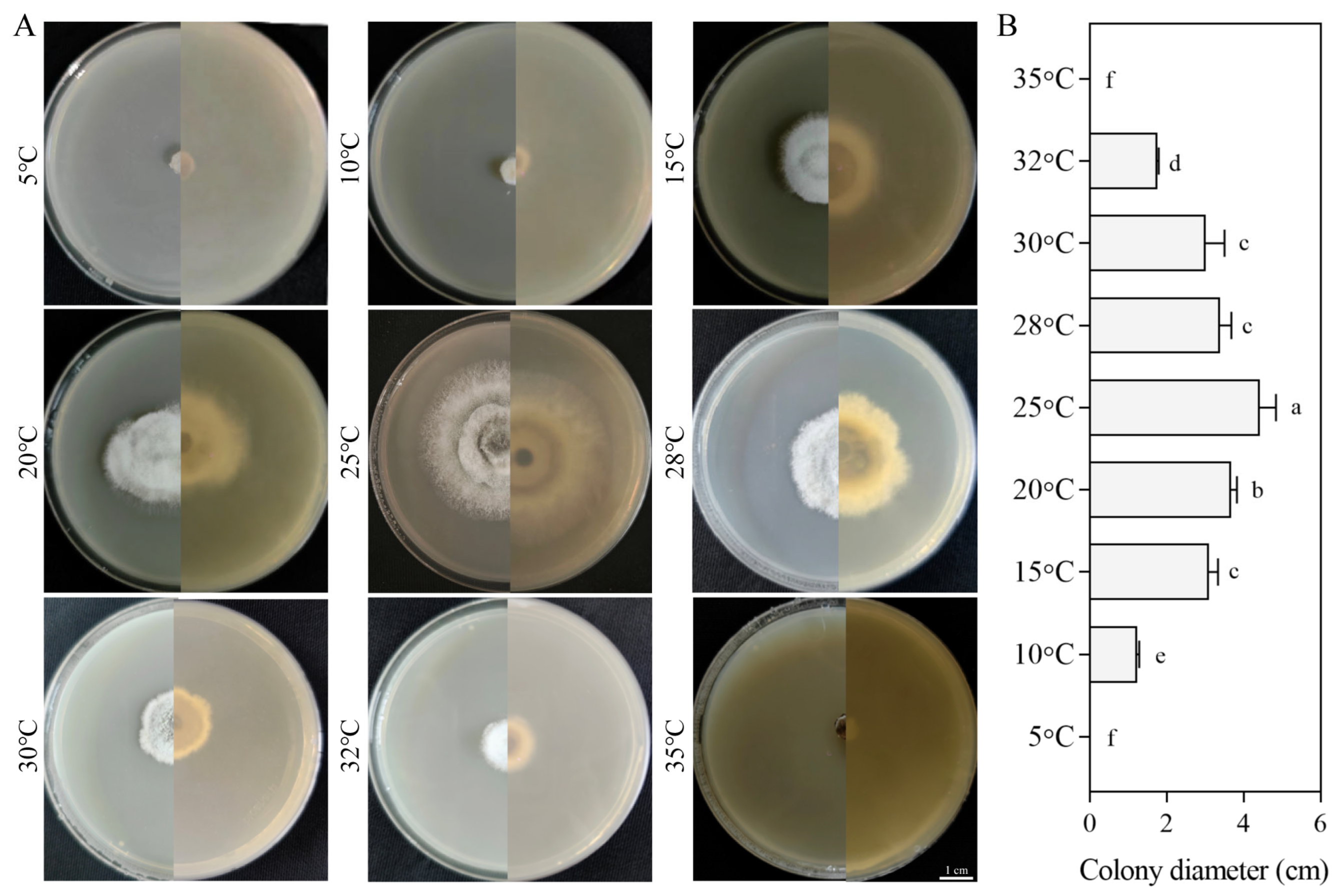 Jof 11 00633 g005 Jof 11 00633 g005