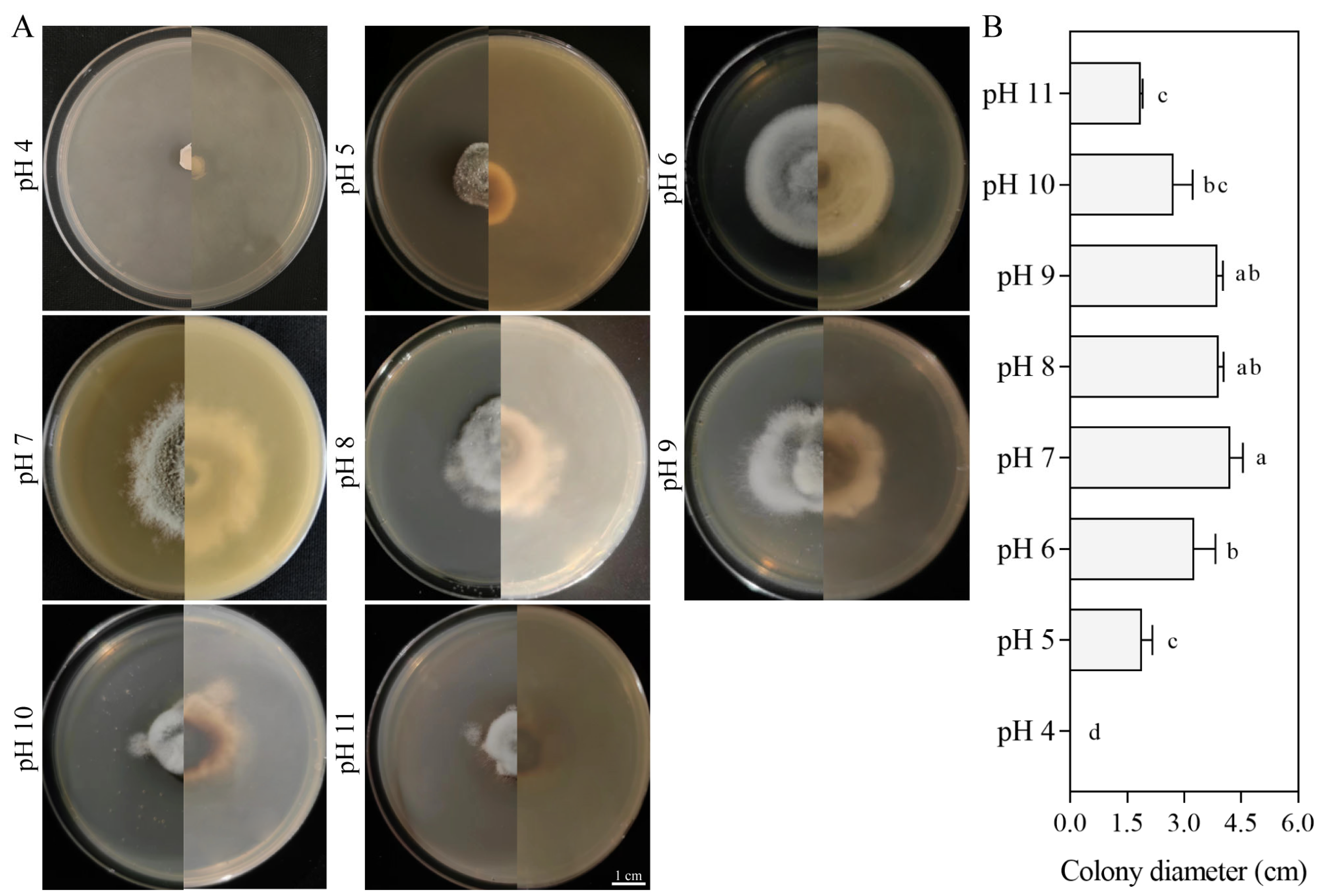 Jof 11 00633 g006 Jof 11 00633 g006