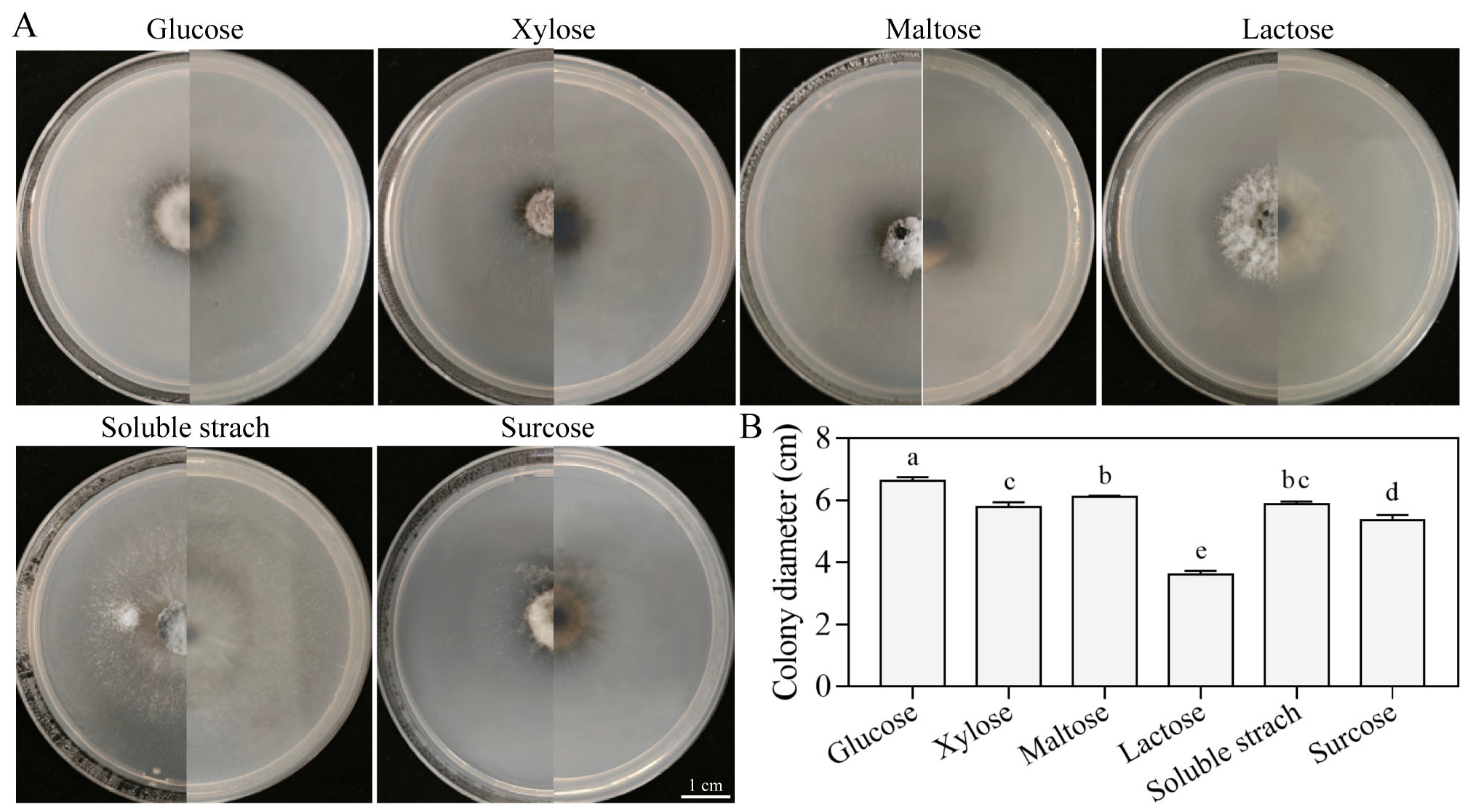 Jof 11 00633 g007 Jof 11 00633 g007