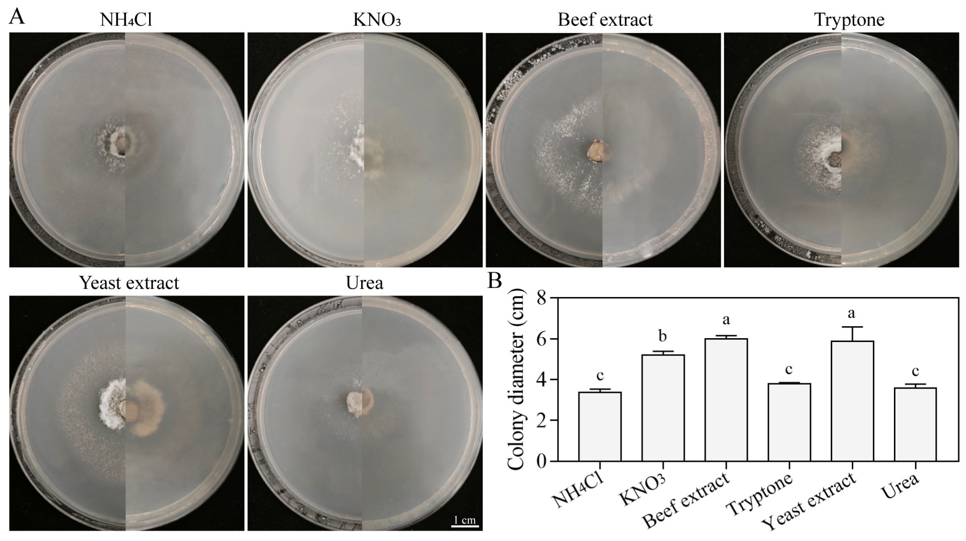 Jof 11 00633 g008 Jof 11 00633 g008