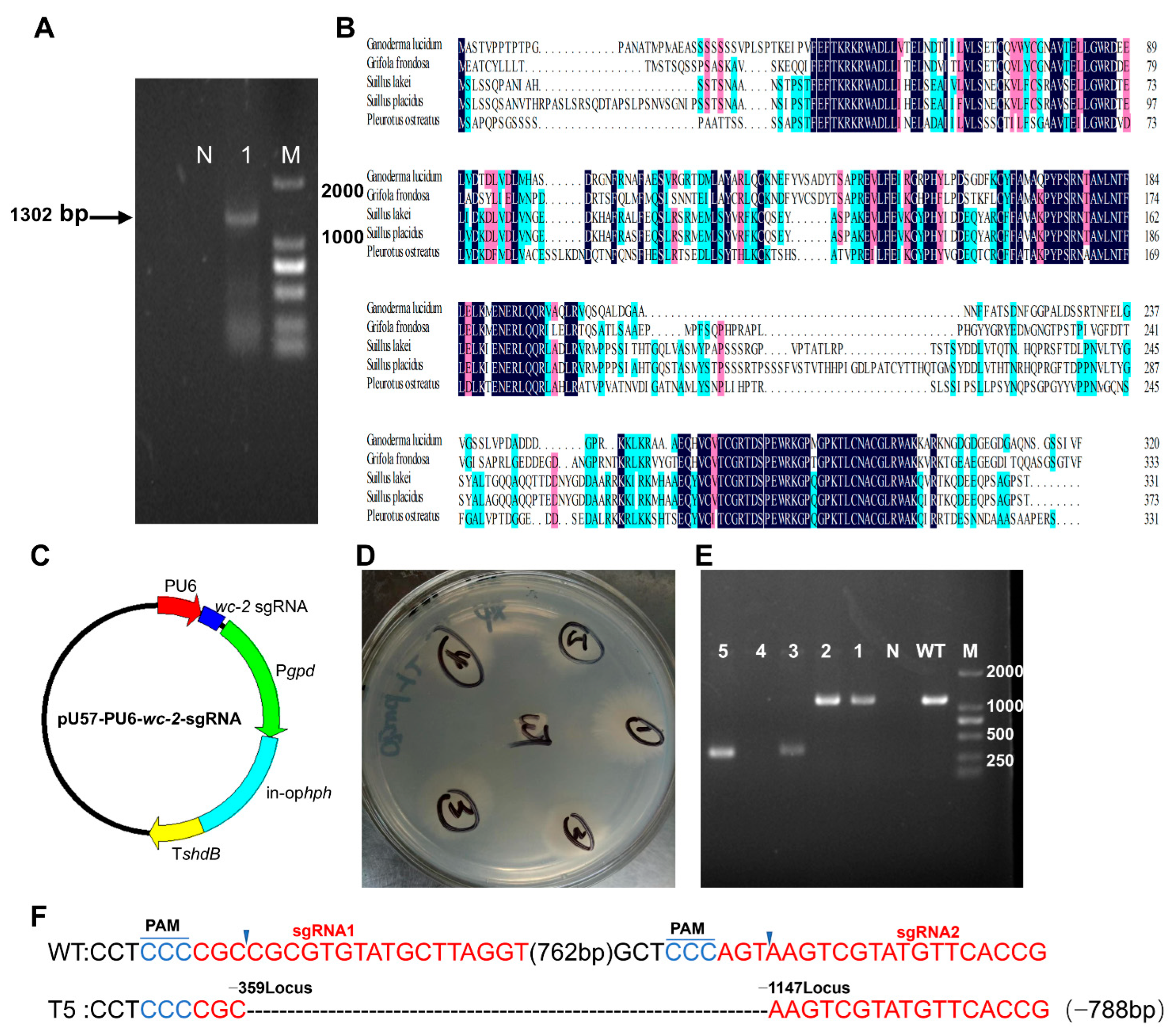 Jof 11 00646 g002 Jof 11 00646 g002