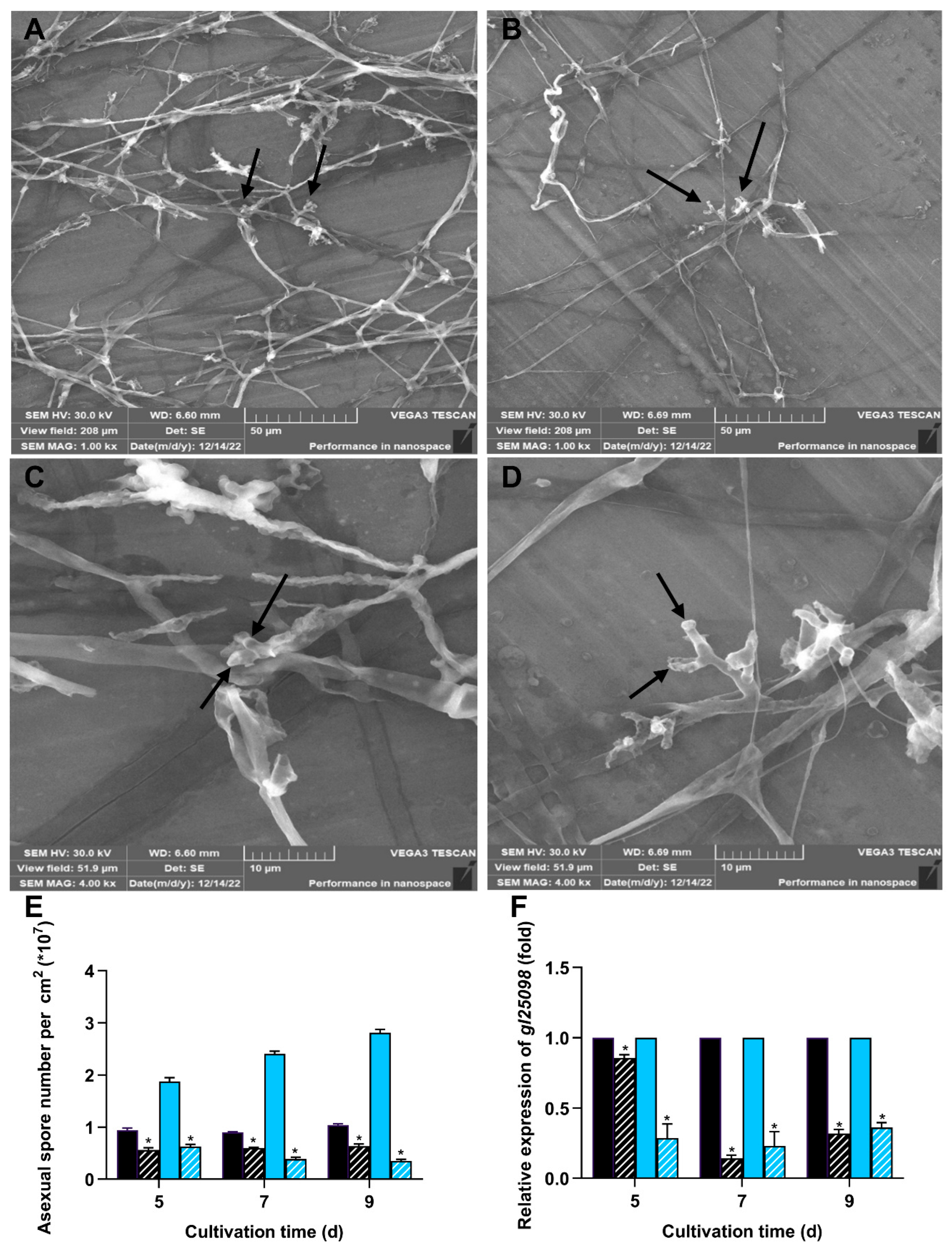 Jof 11 00646 g005 Jof 11 00646 g005