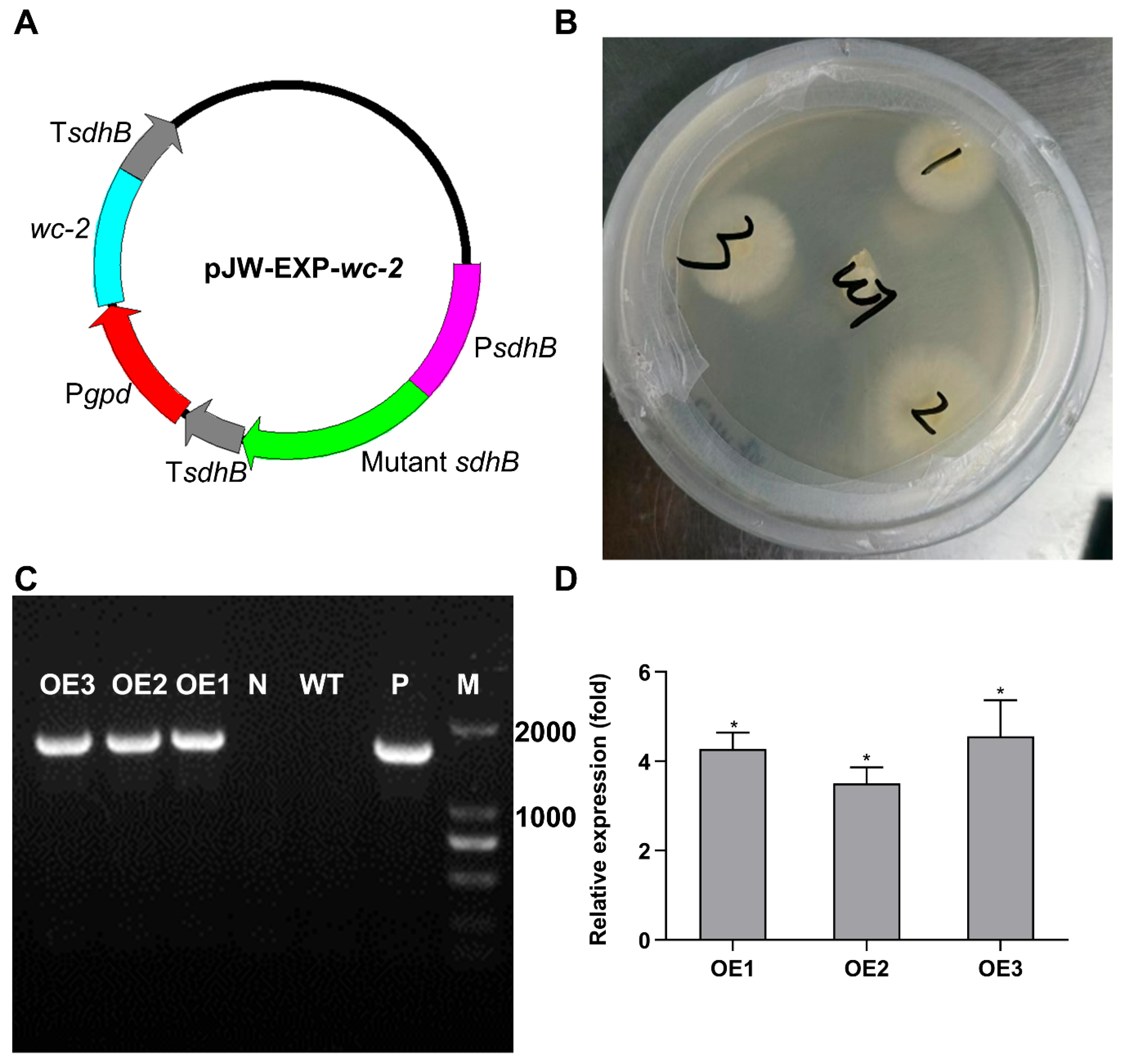 Jof 11 00646 g006 Jof 11 00646 g006