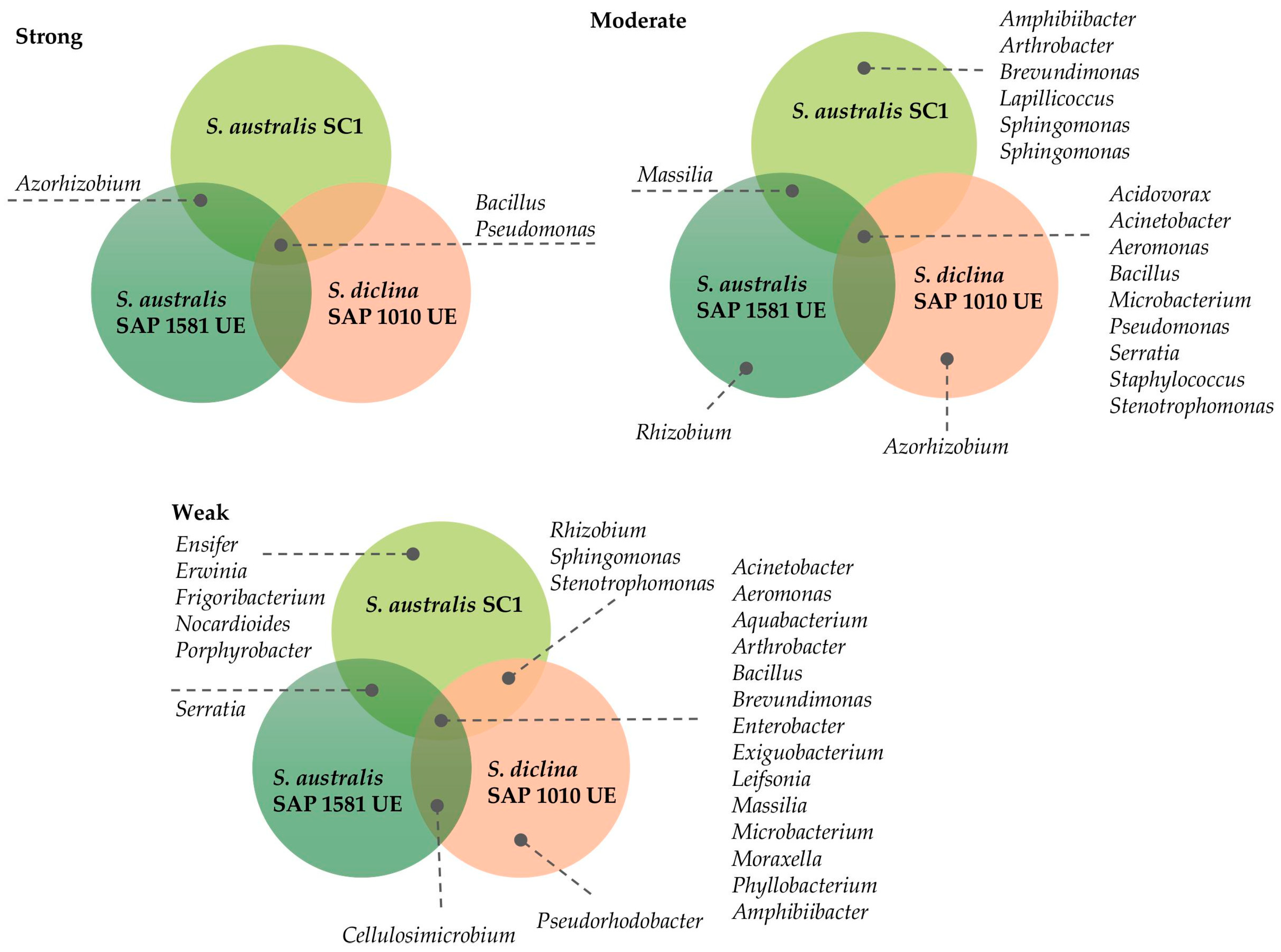 Jof 11 00649 g003 Jof 11 00649 g003