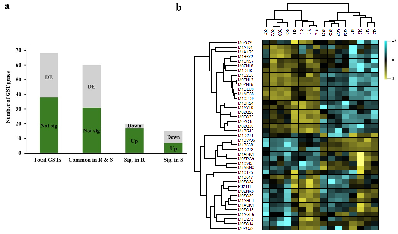 Jof 11 00654 g002 Jof 11 00654 g002
