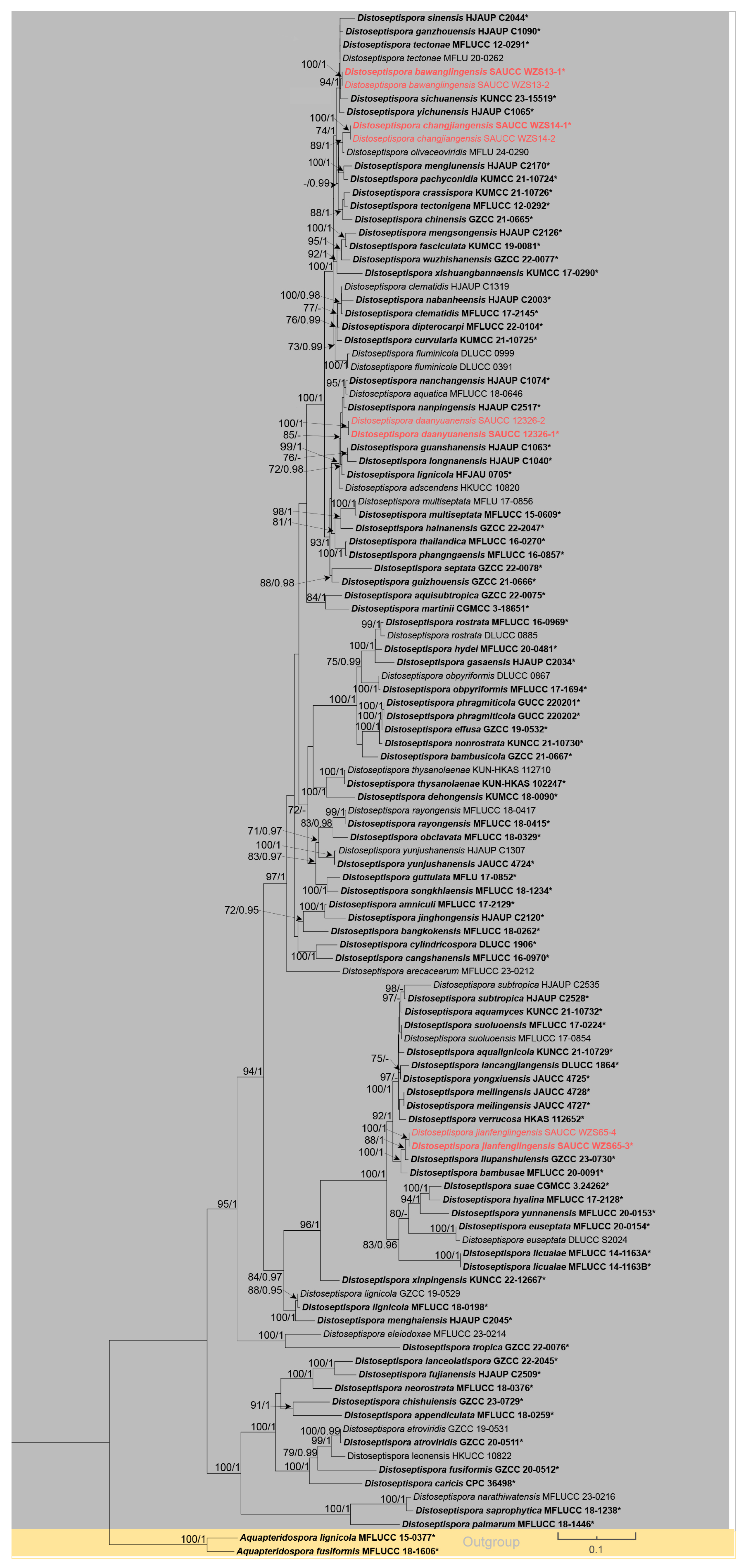 Jof 11 00667 g001 Jof 11 00667 g001
