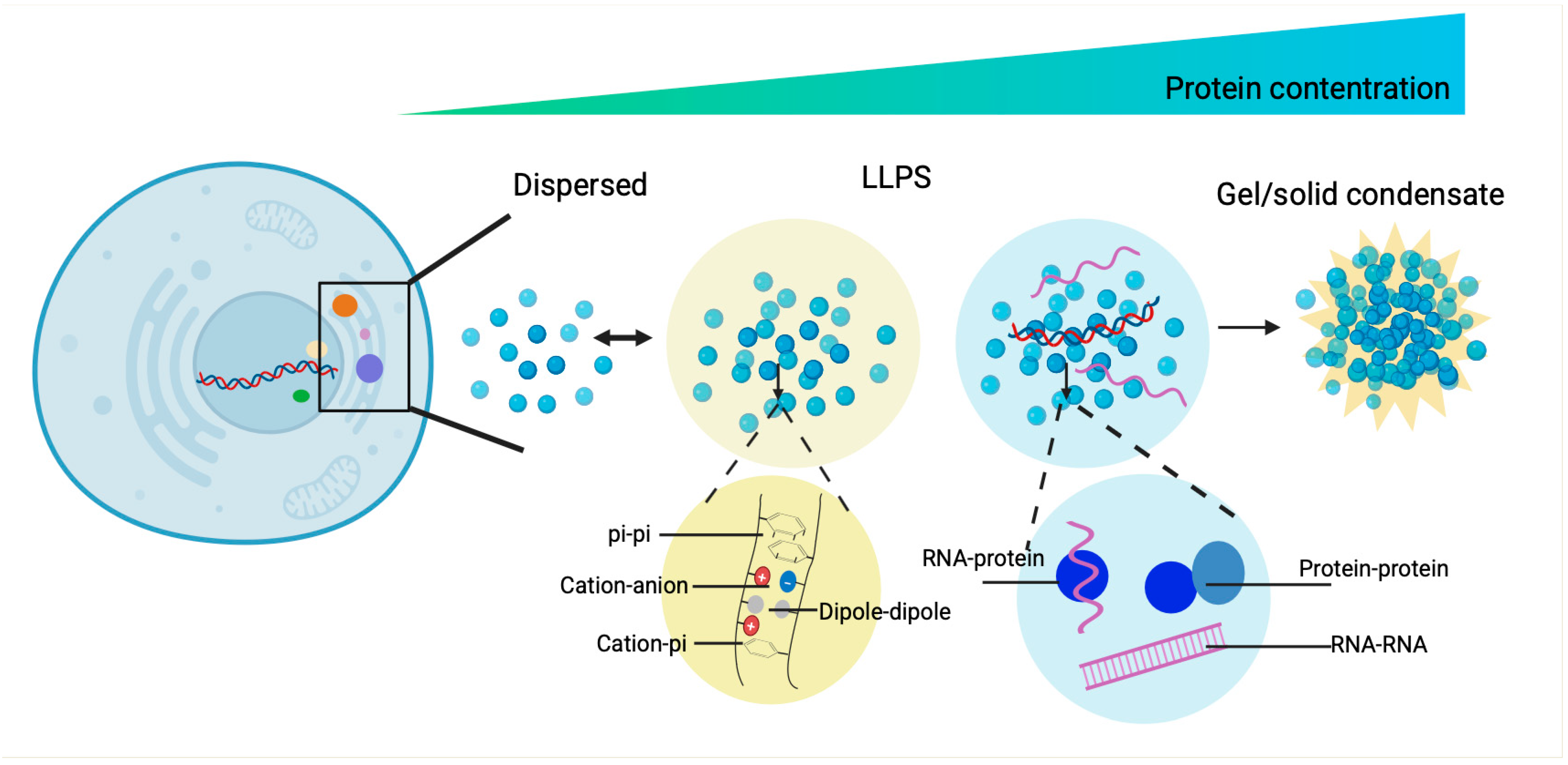 Jof 11 00680 g001 Jof 11 00680 g001