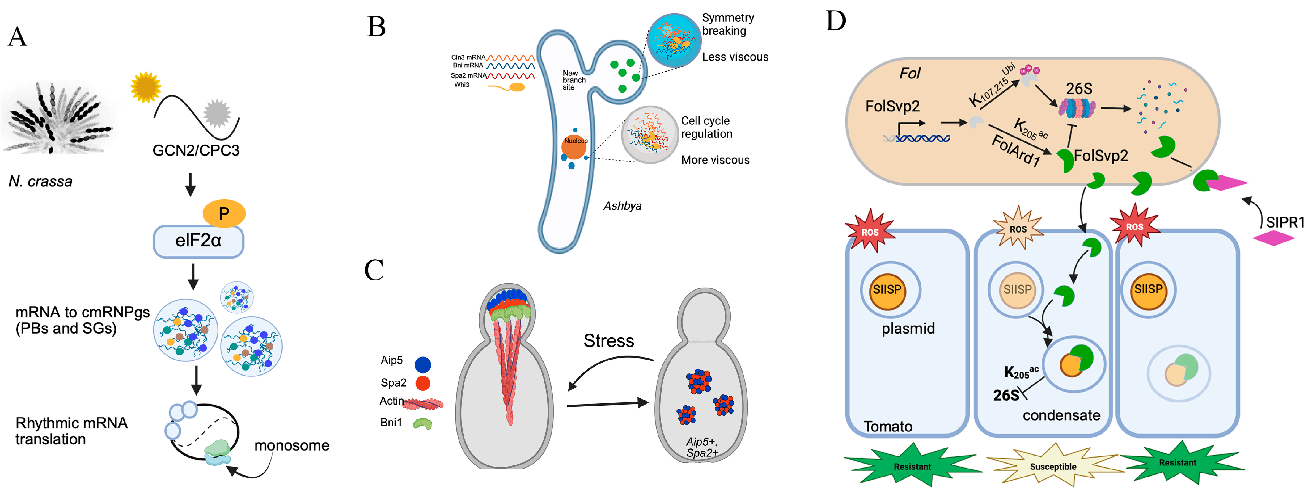 Jof 11 00680 g002 Jof 11 00680 g002