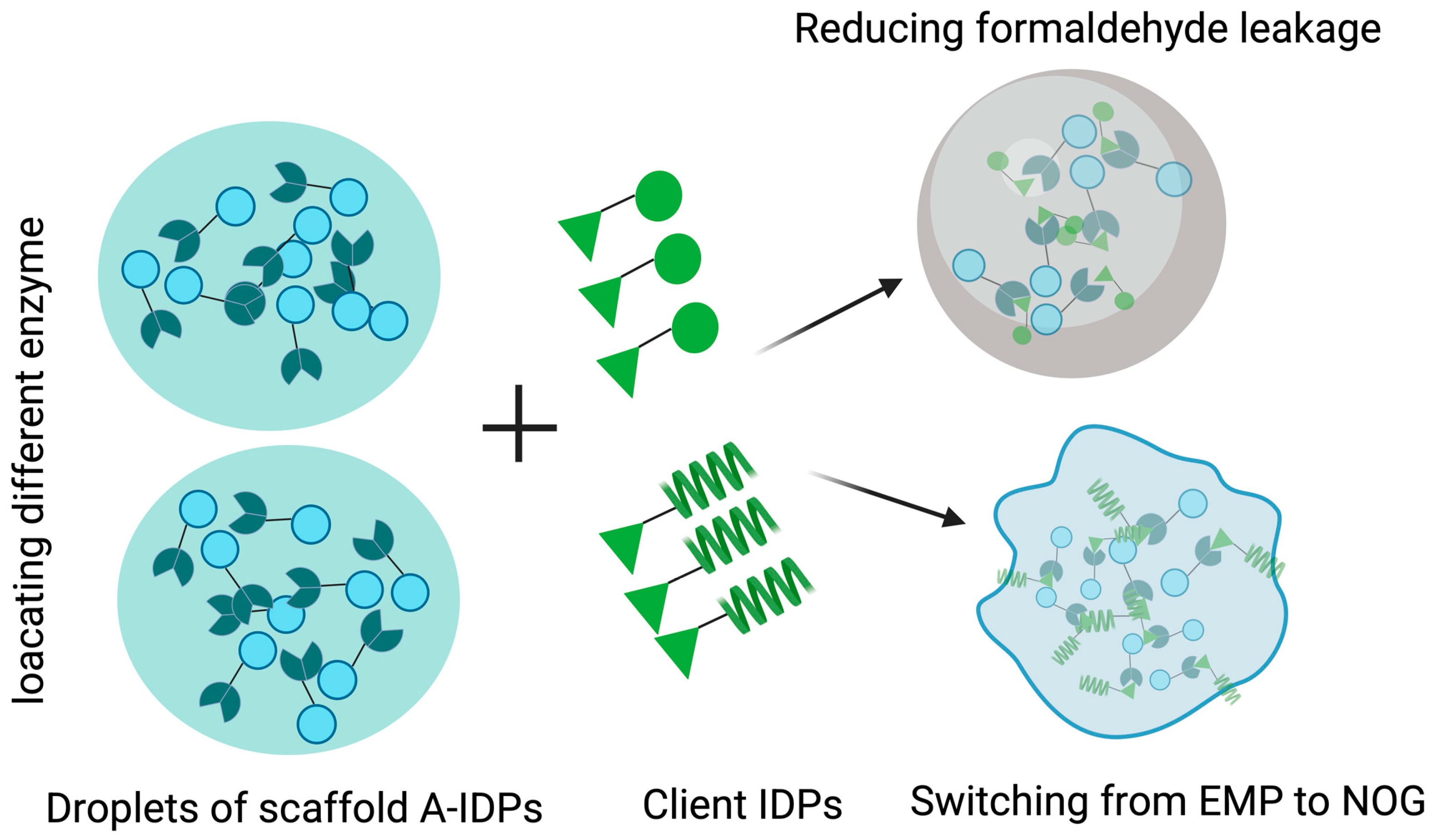 Jof 11 00680 g006 Jof 11 00680 g006