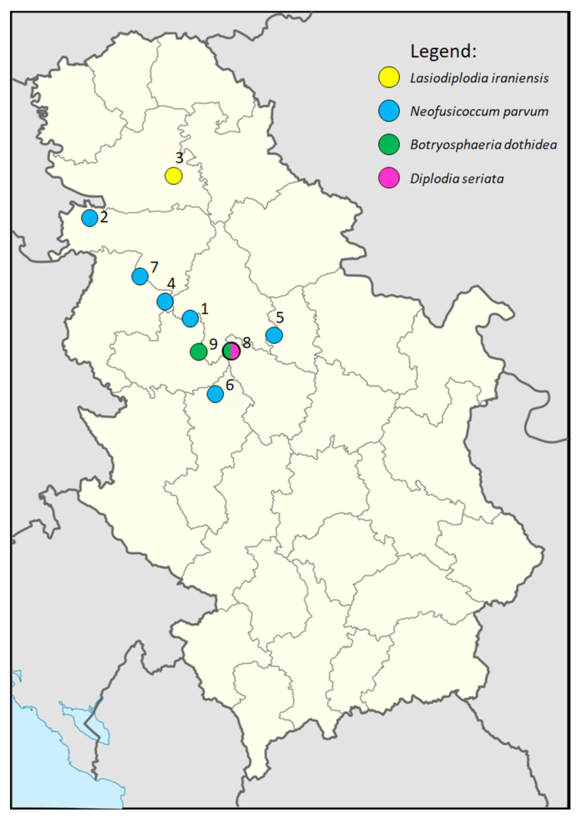 Jof 11 00686 g001 Jof 11 00686 g001