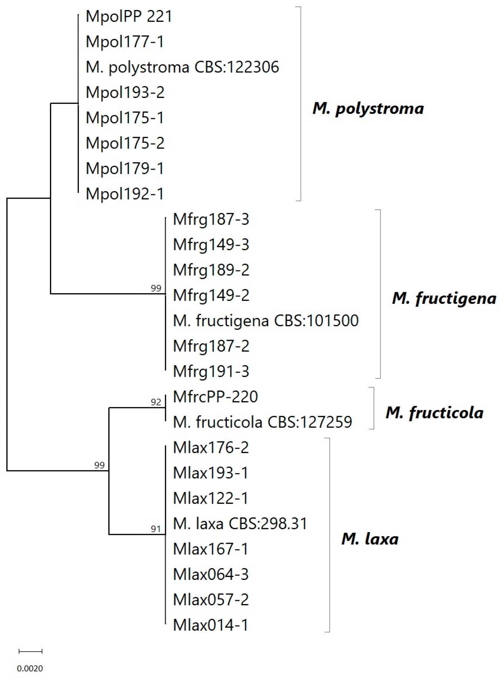 Jof 11 00690 g001 Jof 11 00690 g001