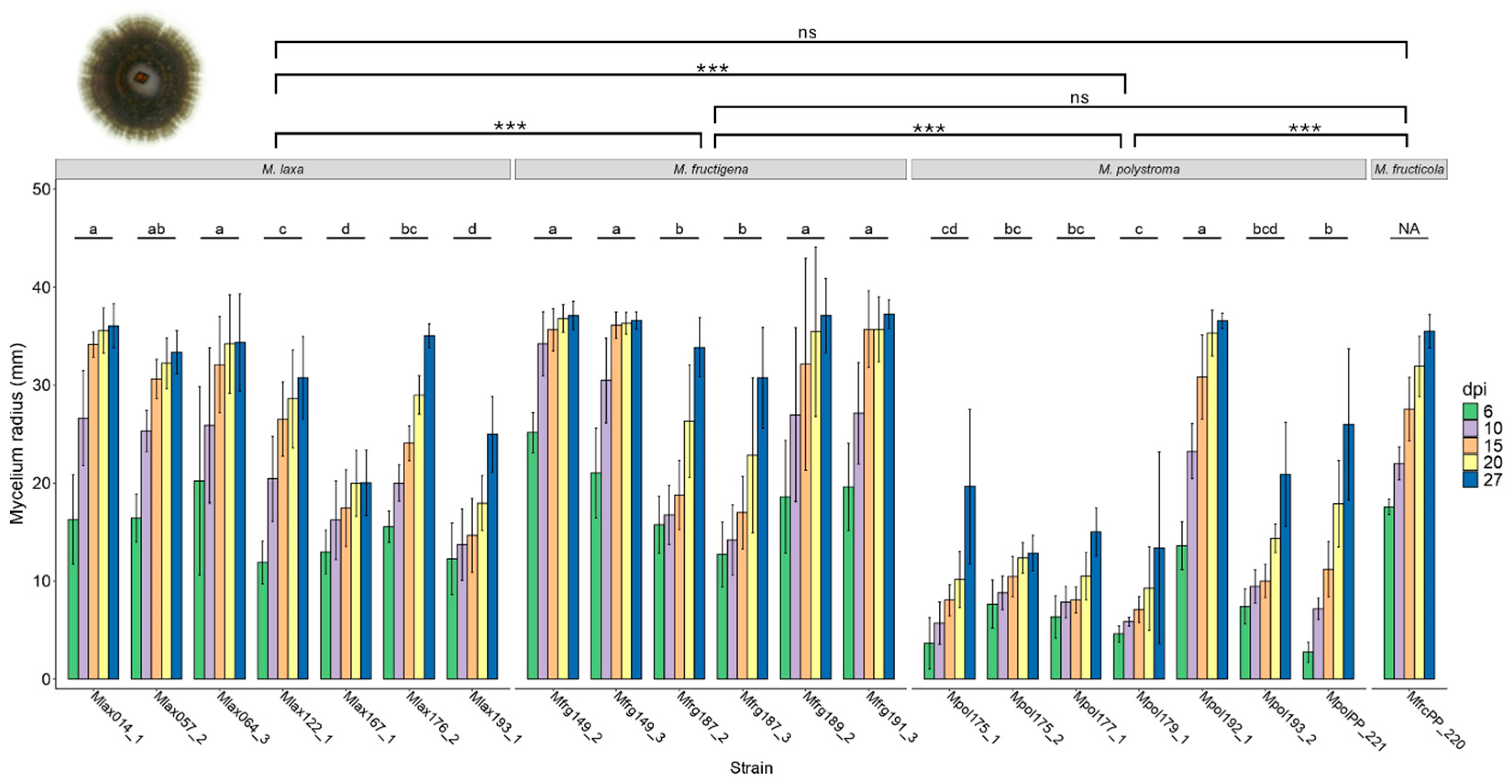 Jof 11 00690 g003 Jof 11 00690 g003