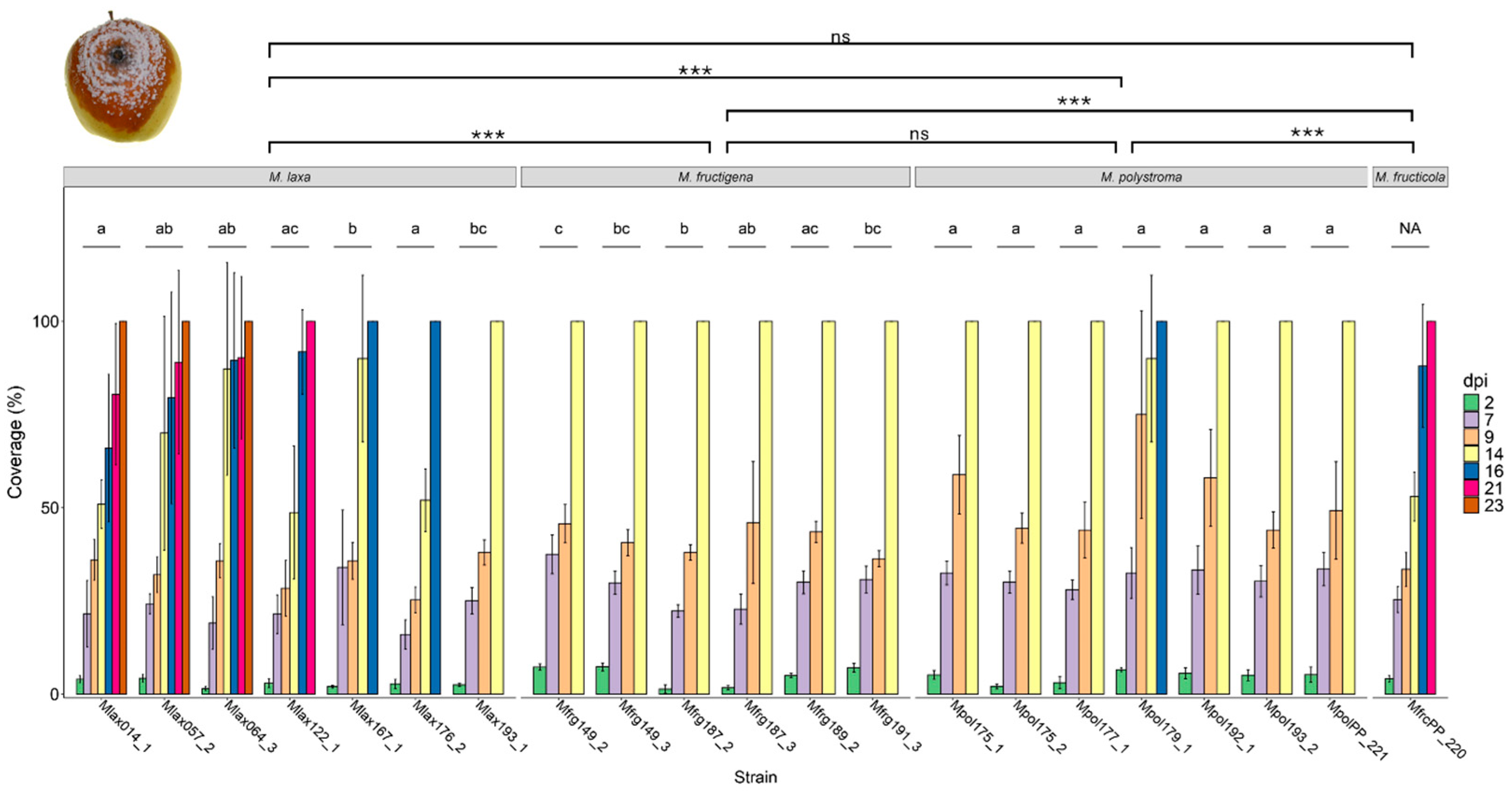 Jof 11 00690 g004 Jof 11 00690 g004