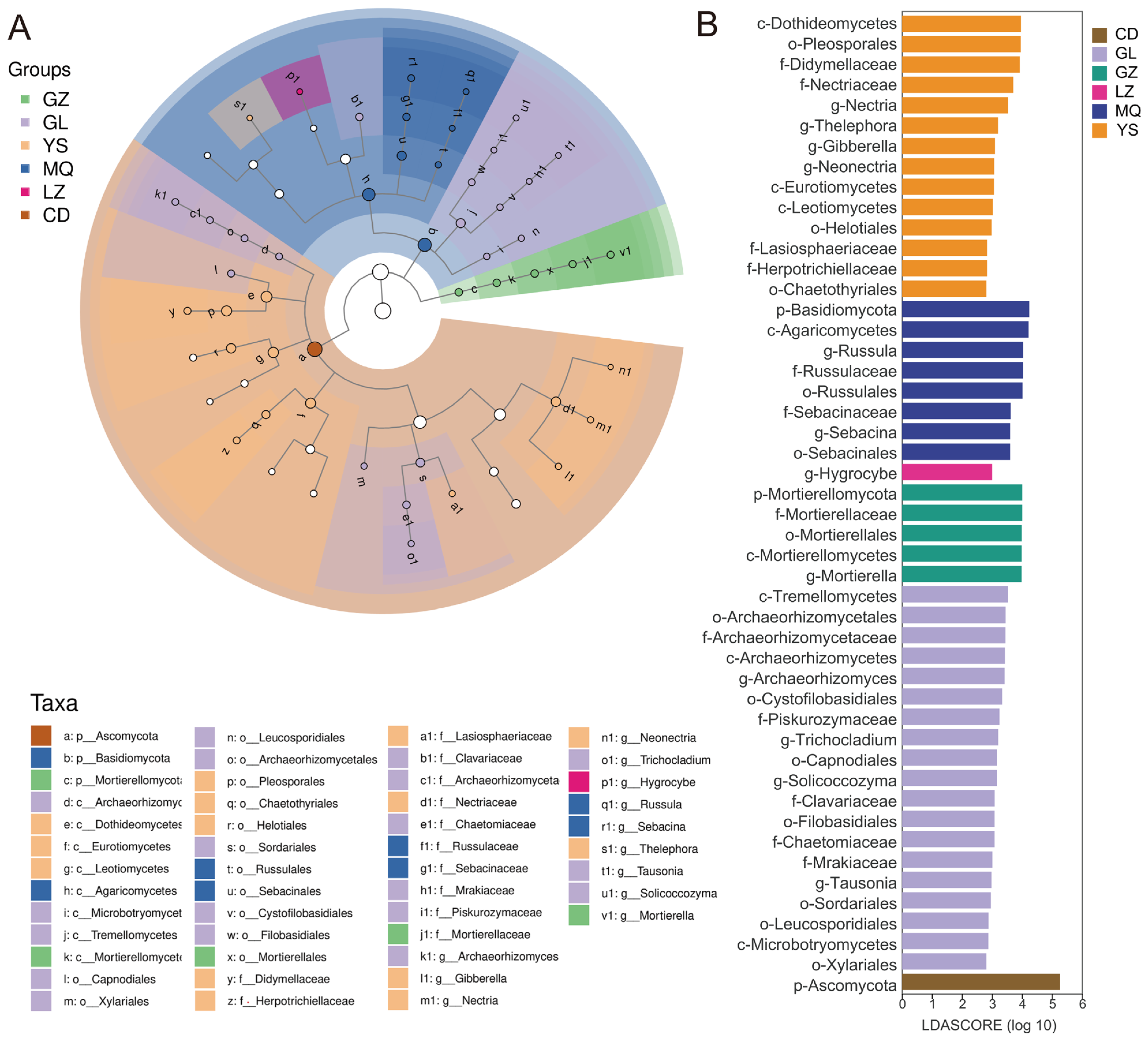 Jof 11 00696 g004 Jof 11 00696 g004