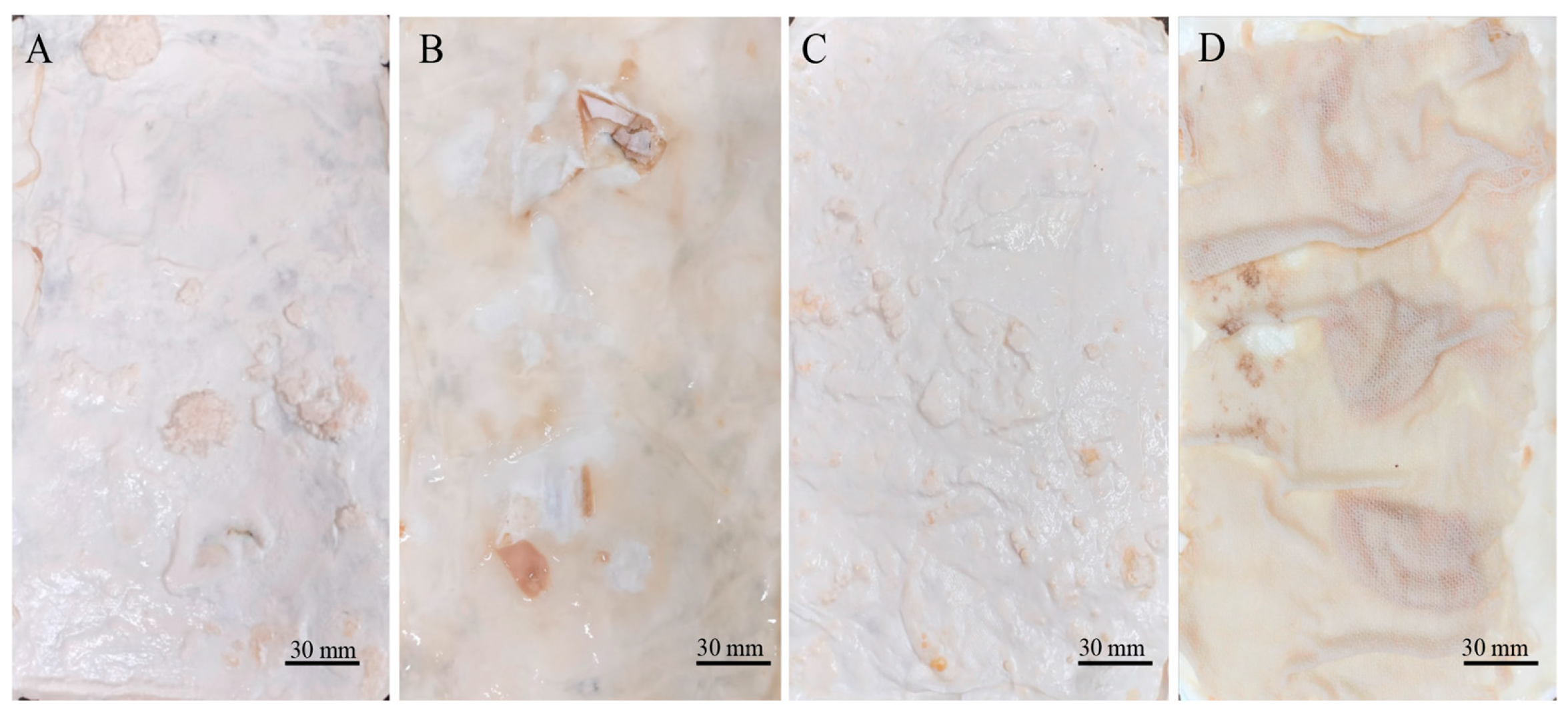 Jof 11 00700 g001 Jof 11 00700 g001