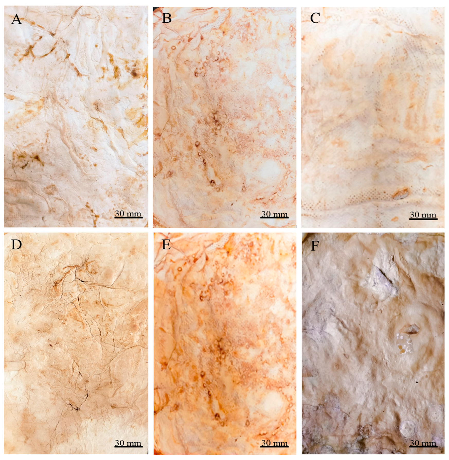 Jof 11 00700 g004 Jof 11 00700 g004