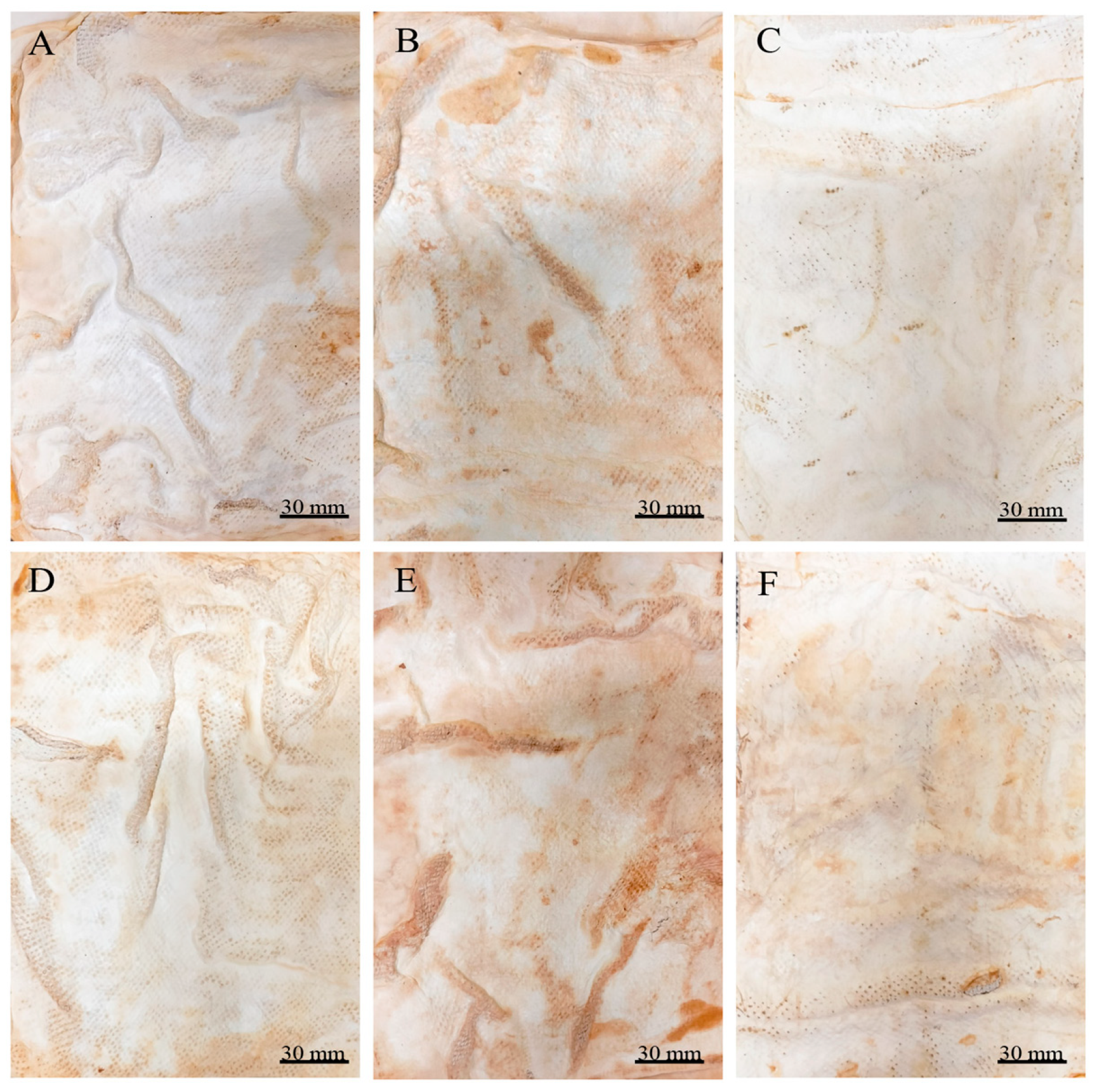 Jof 11 00700 g005 Jof 11 00700 g005