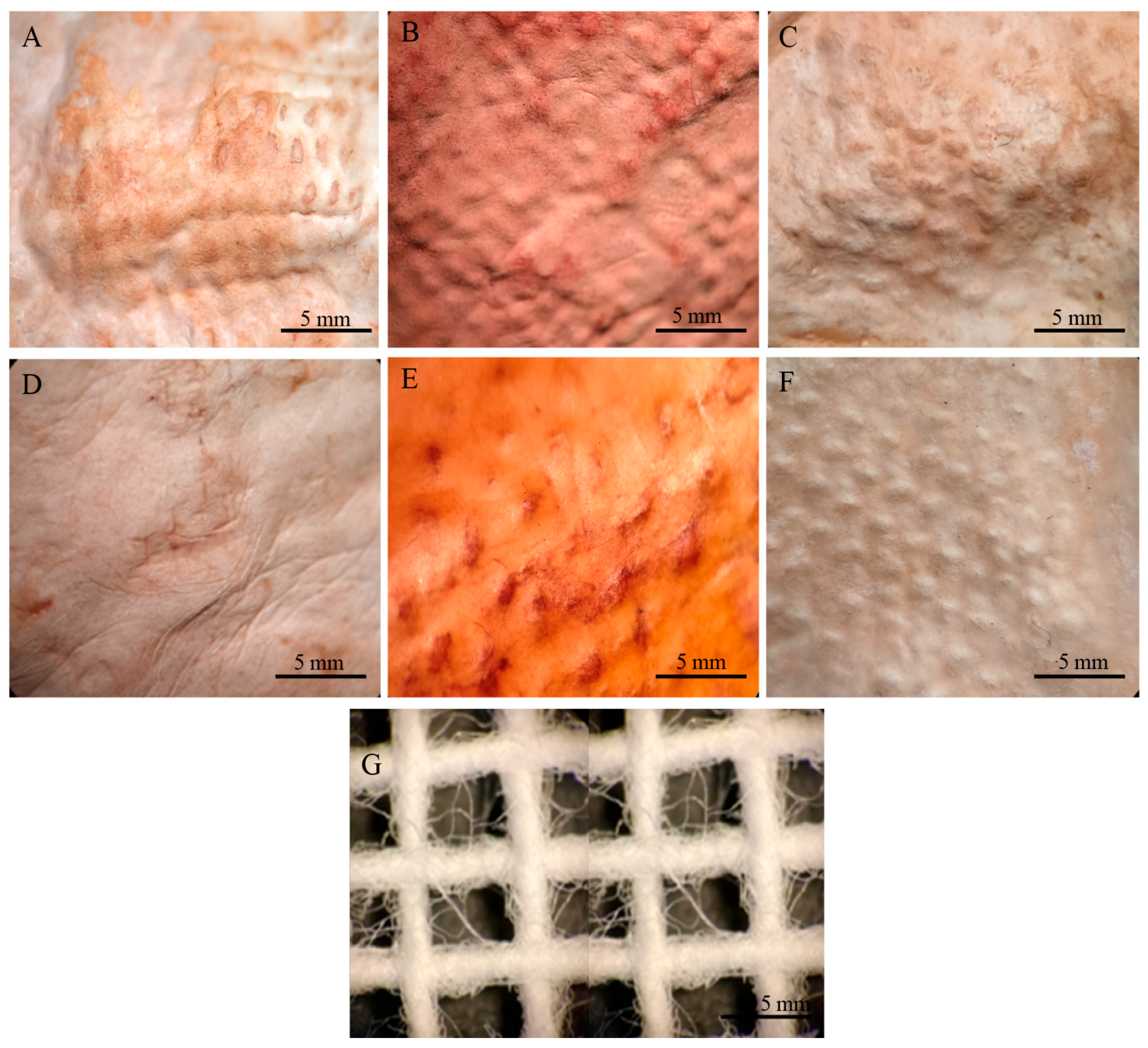 Jof 11 00700 g010 Jof 11 00700 g010