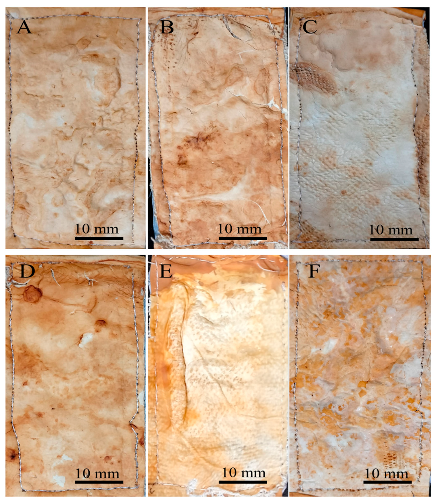 Jof 11 00700 g012 Jof 11 00700 g012