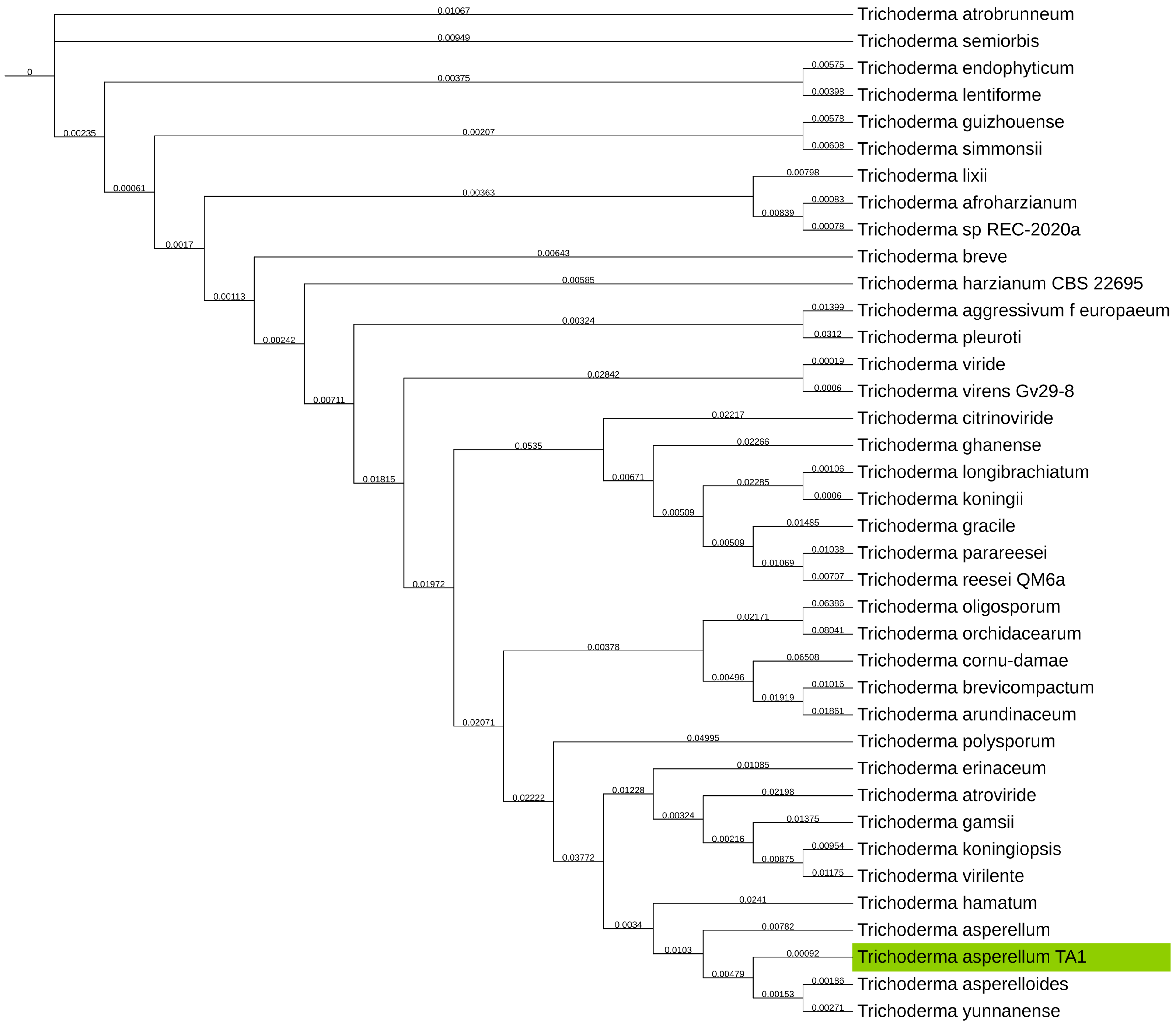 Jof 11 00701 g003 Jof 11 00701 g003