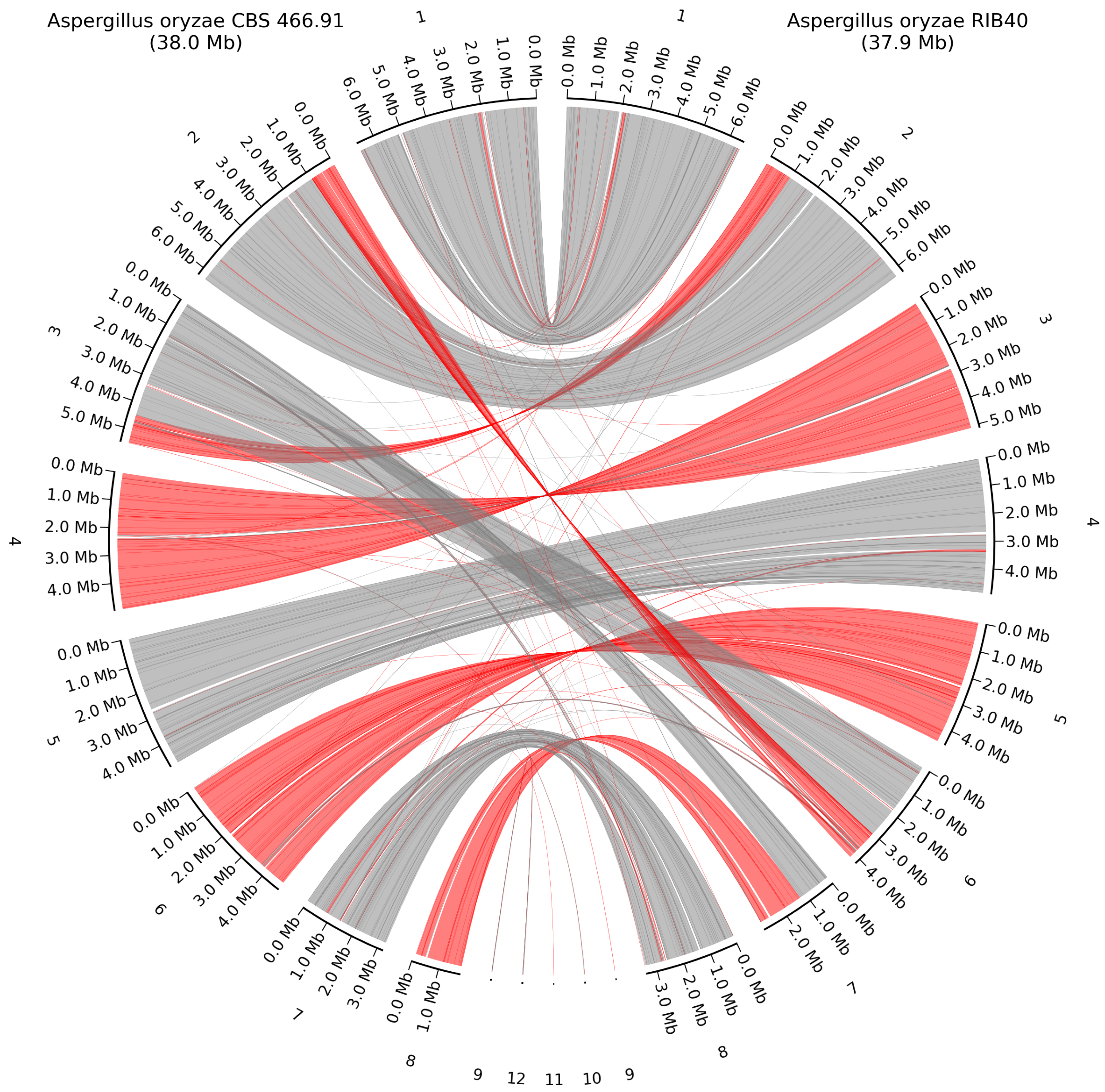 Jof 11 00701 g008 Jof 11 00701 g008