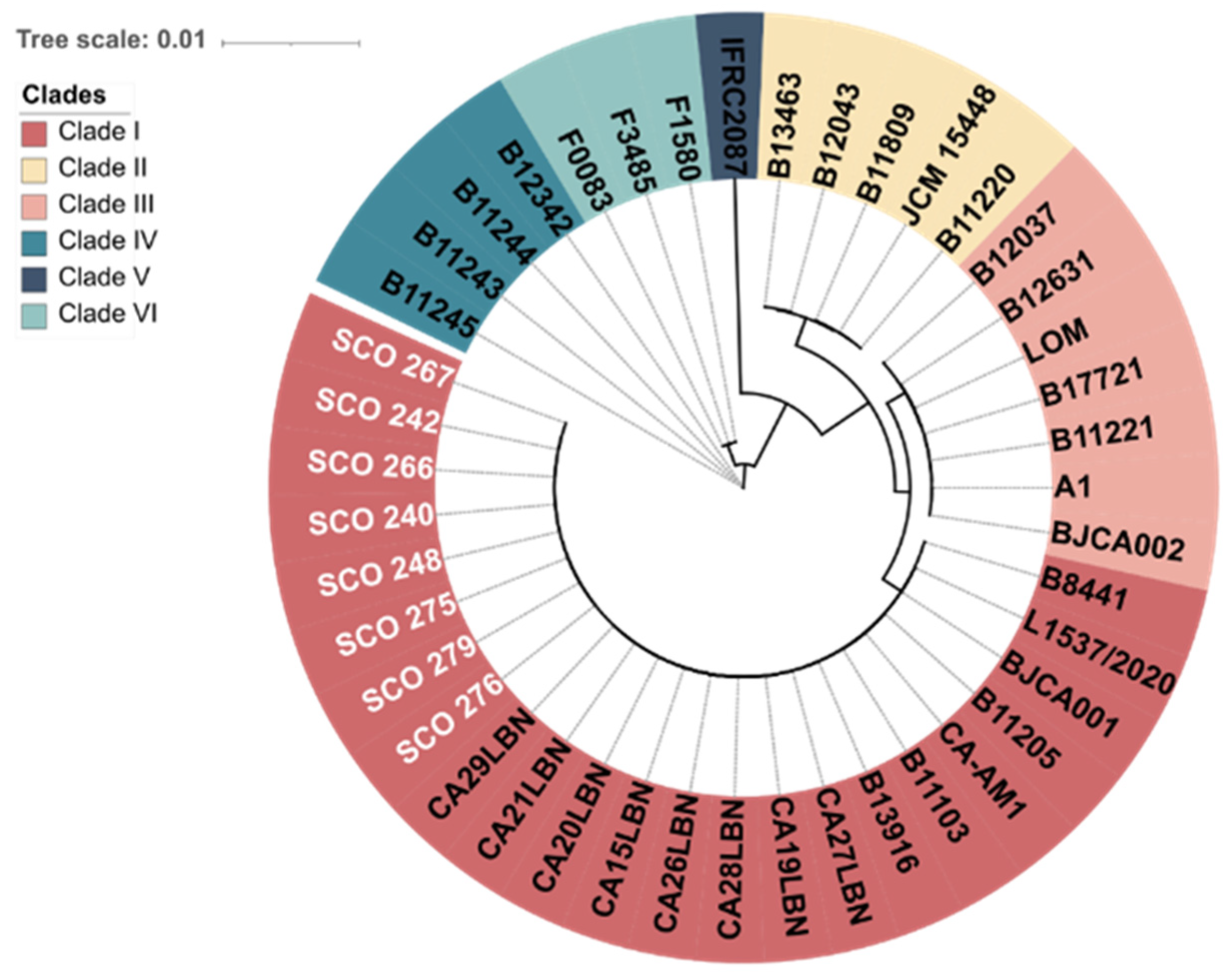 Jof 11 00716 g002 Jof 11 00716 g002
