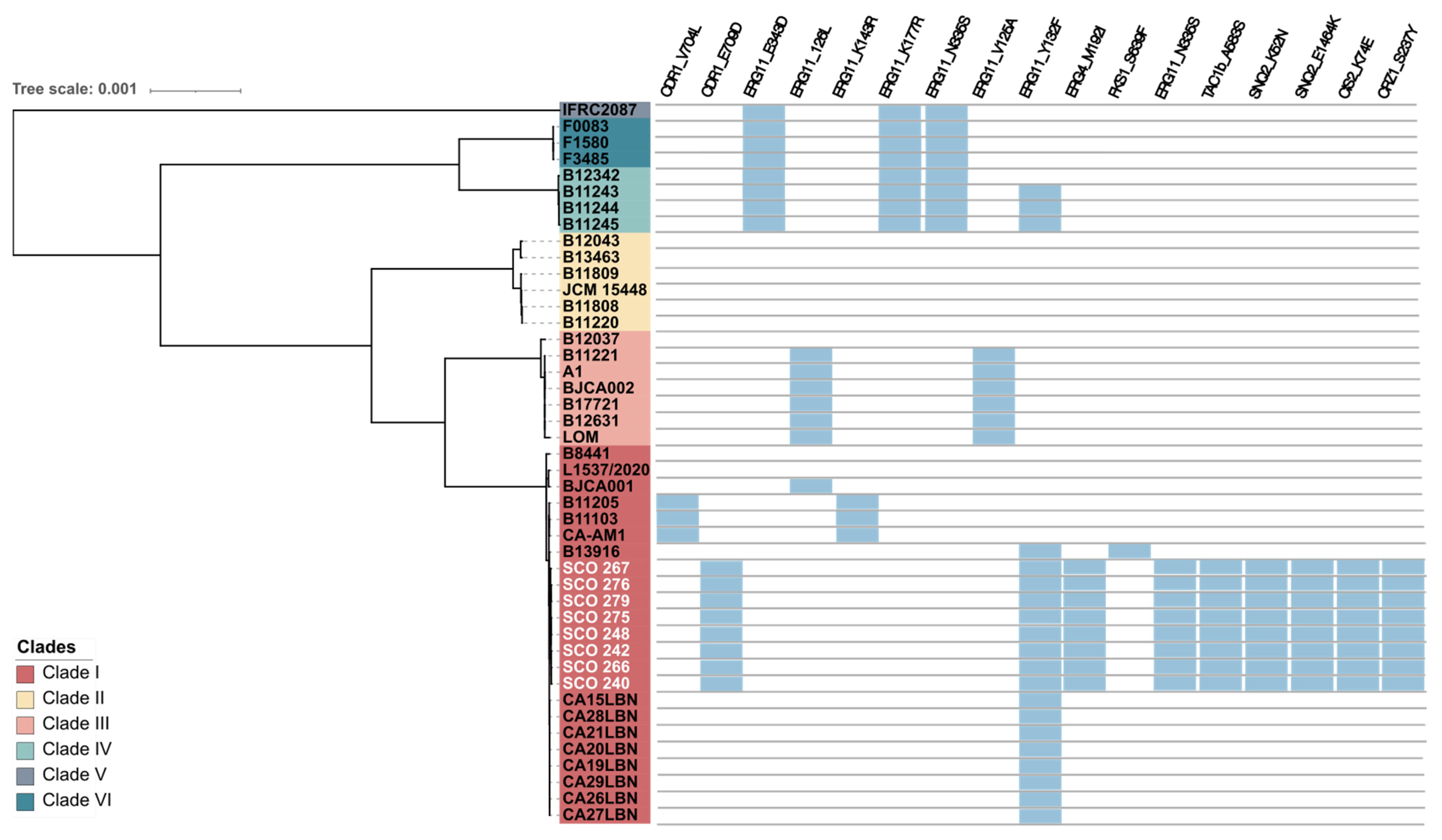 Jof 11 00716 g003 Jof 11 00716 g003