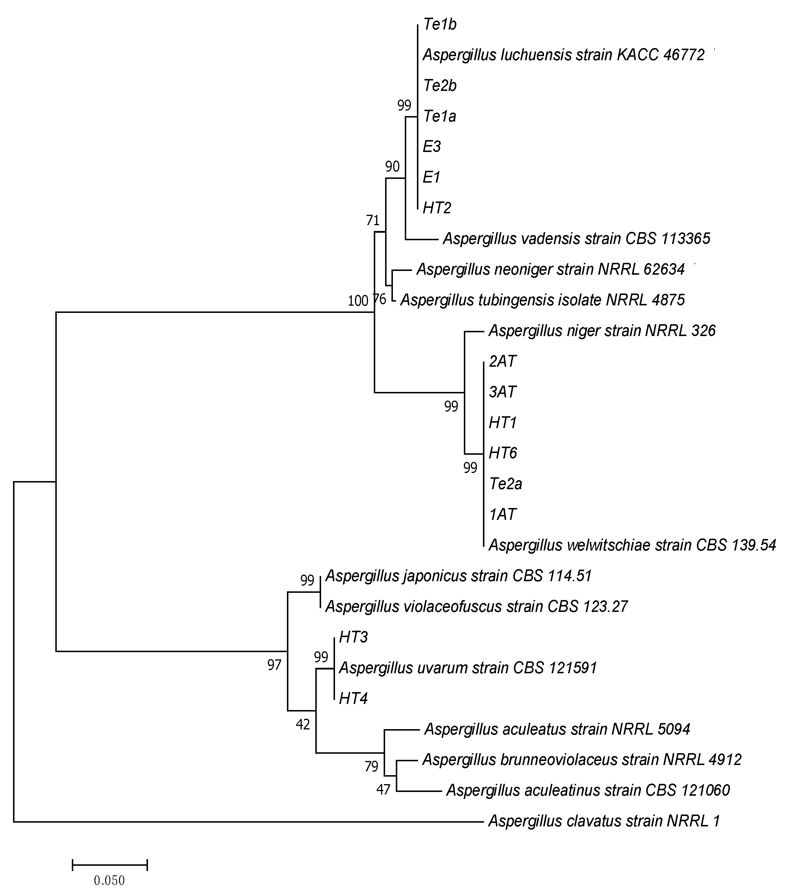 Jof 11 00722 g002 Jof 11 00722 g002