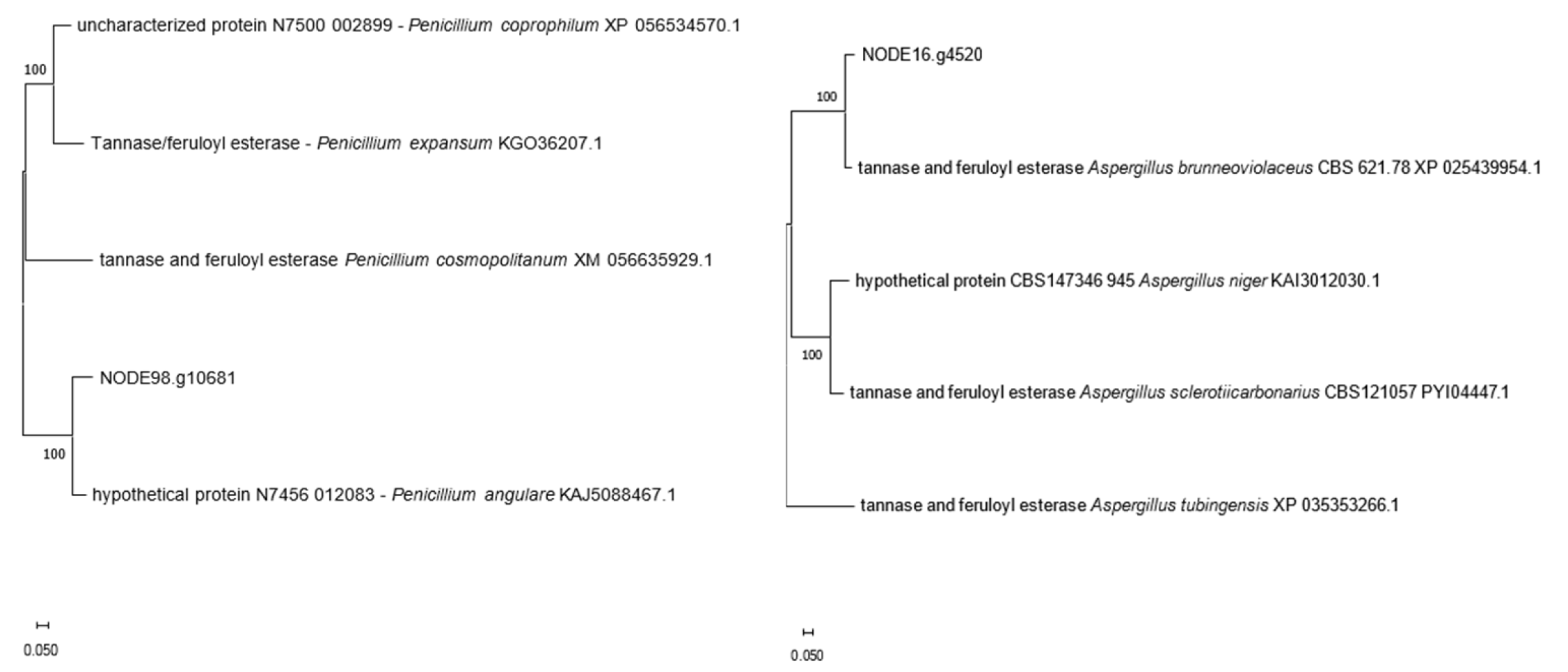 Jof 11 00722 g003 Jof 11 00722 g003