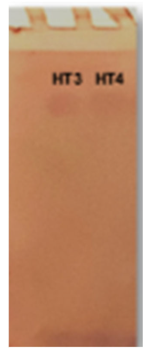 Jof 11 00722 g006 Jof 11 00722 g006