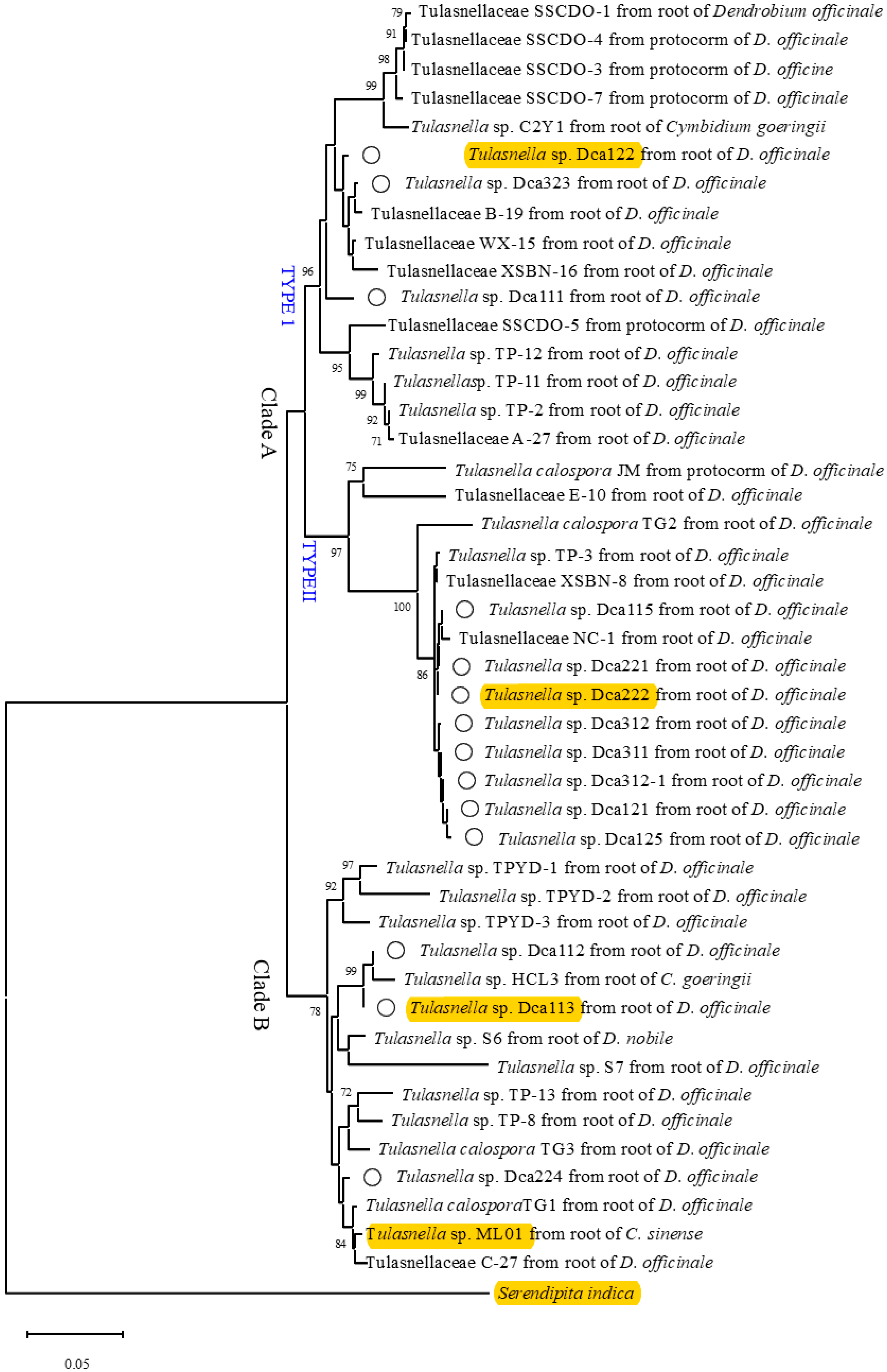 Jof 11 00737 g001 Jof 11 00737 g001