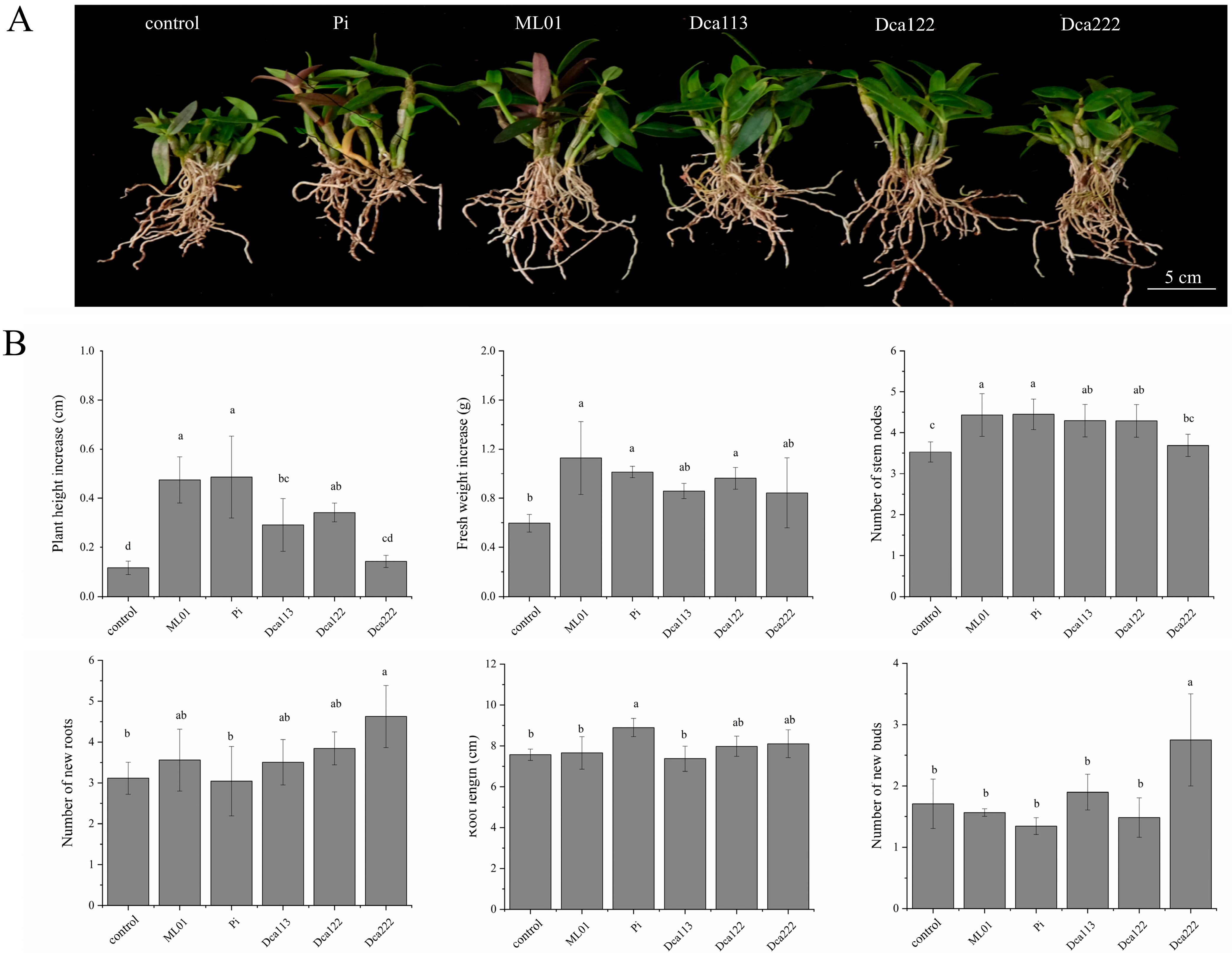 Jof 11 00737 g004 Jof 11 00737 g004