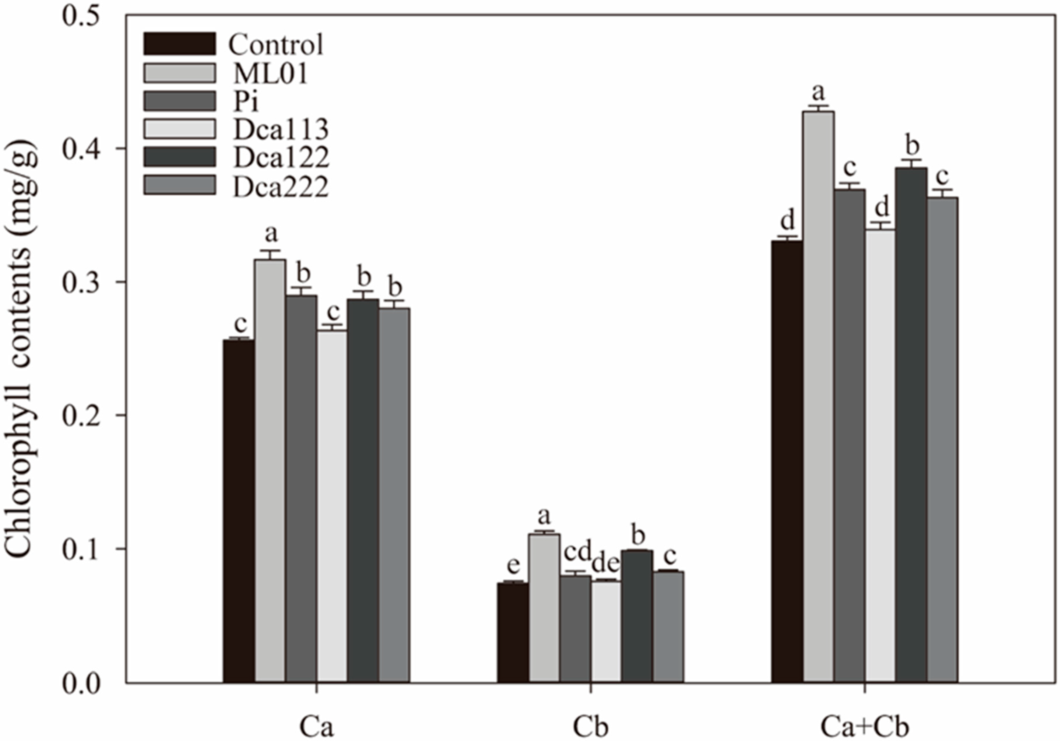 Jof 11 00737 g005 Jof 11 00737 g005