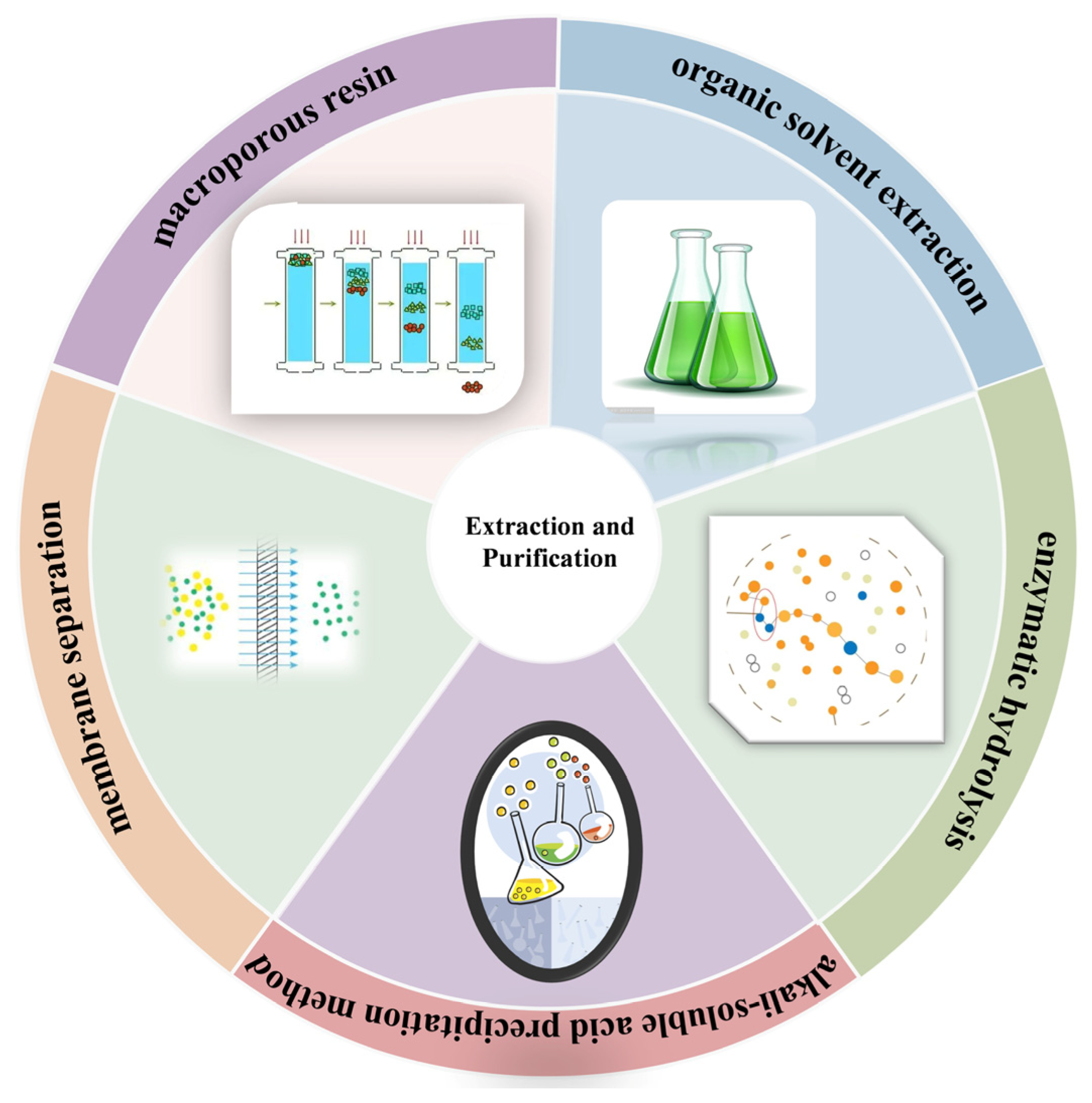 Jof 11 00738 g002 Jof 11 00738 g002