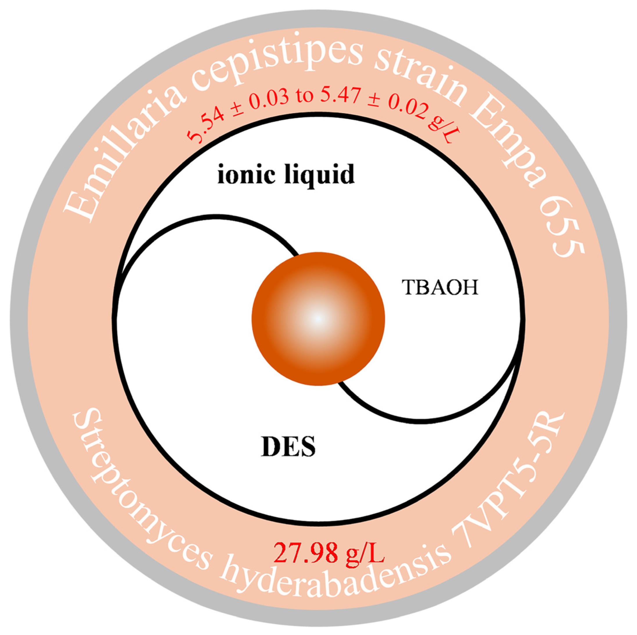 Jof 11 00738 g003 Jof 11 00738 g003