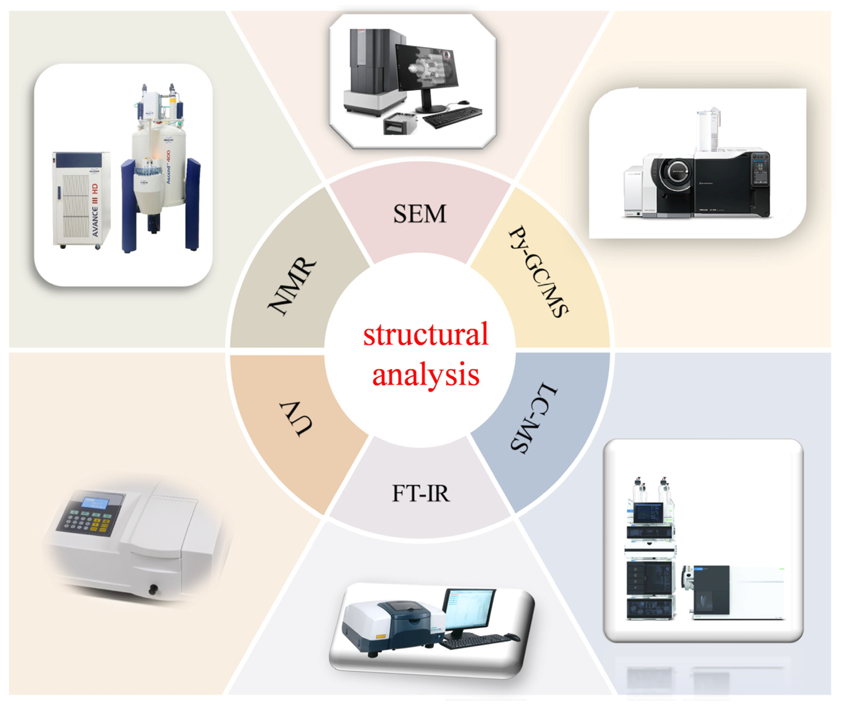 Jof 11 00738 g004 Jof 11 00738 g004